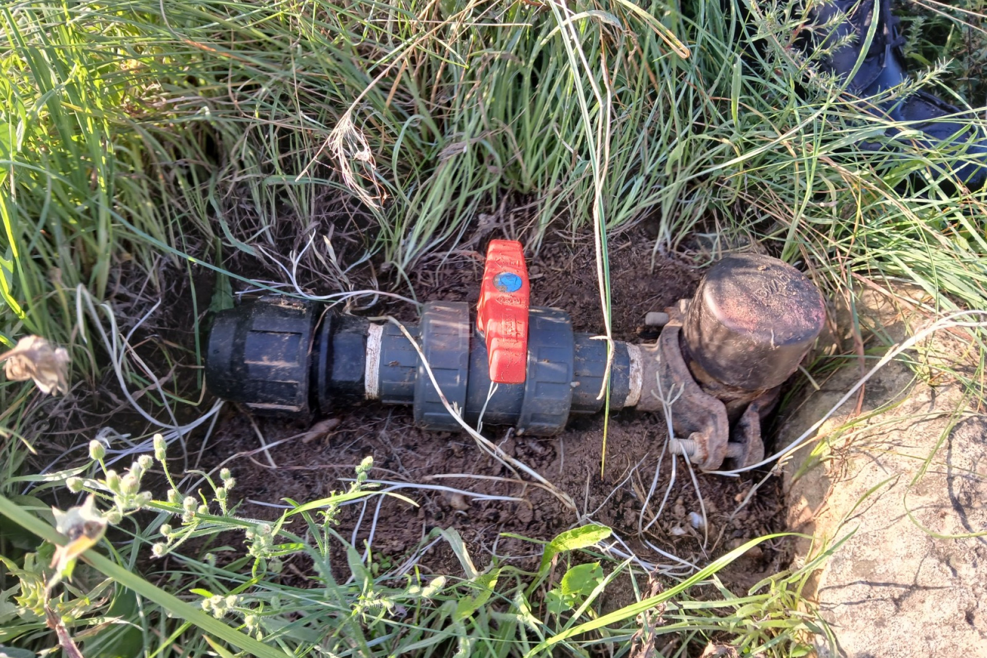 Wiederverkauf - Grundstück / Grundstück - Yecla - Inland