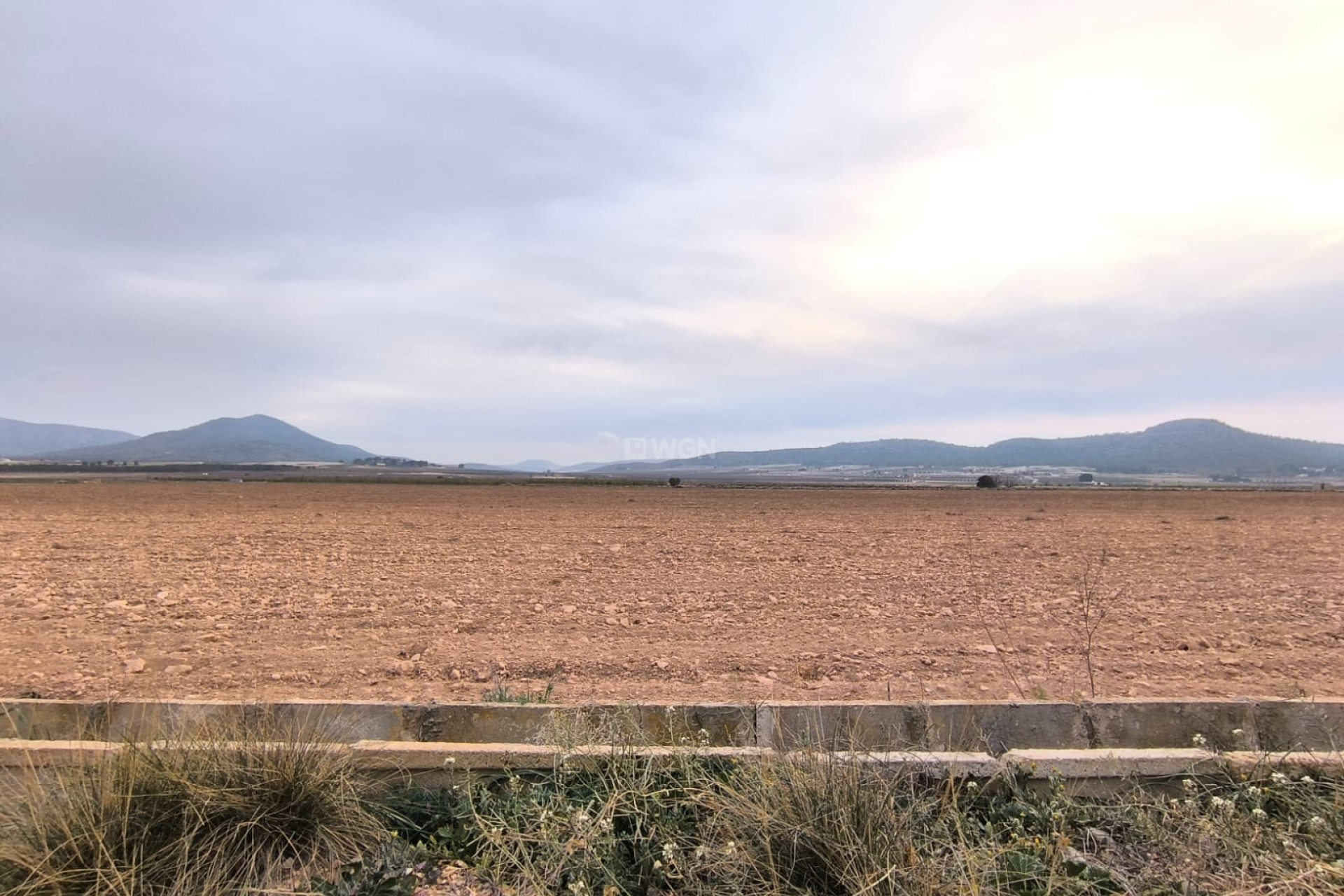Wiederverkauf - Grundstück / Grundstück - Yecla - Inland