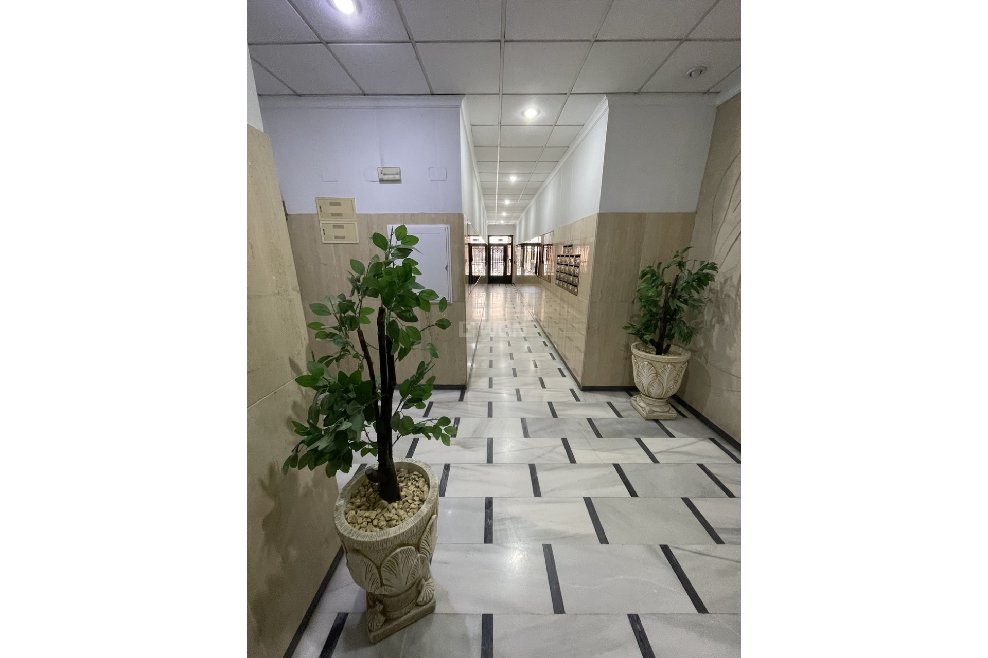 Wiederverkauf - Penthouse - Torrevieja - Playa de cura