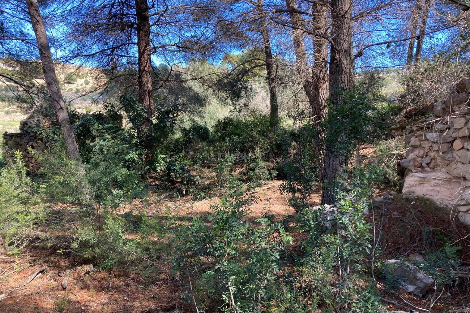 Wiederverkauf - Property - Benissa - Costa Blanca