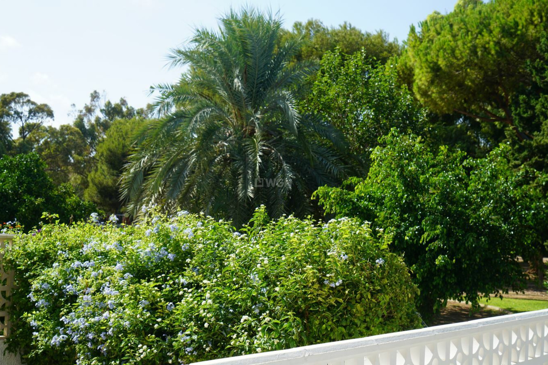 Wiederverkauf - Stadthaus - Orihuela Costa - Costa Blanca