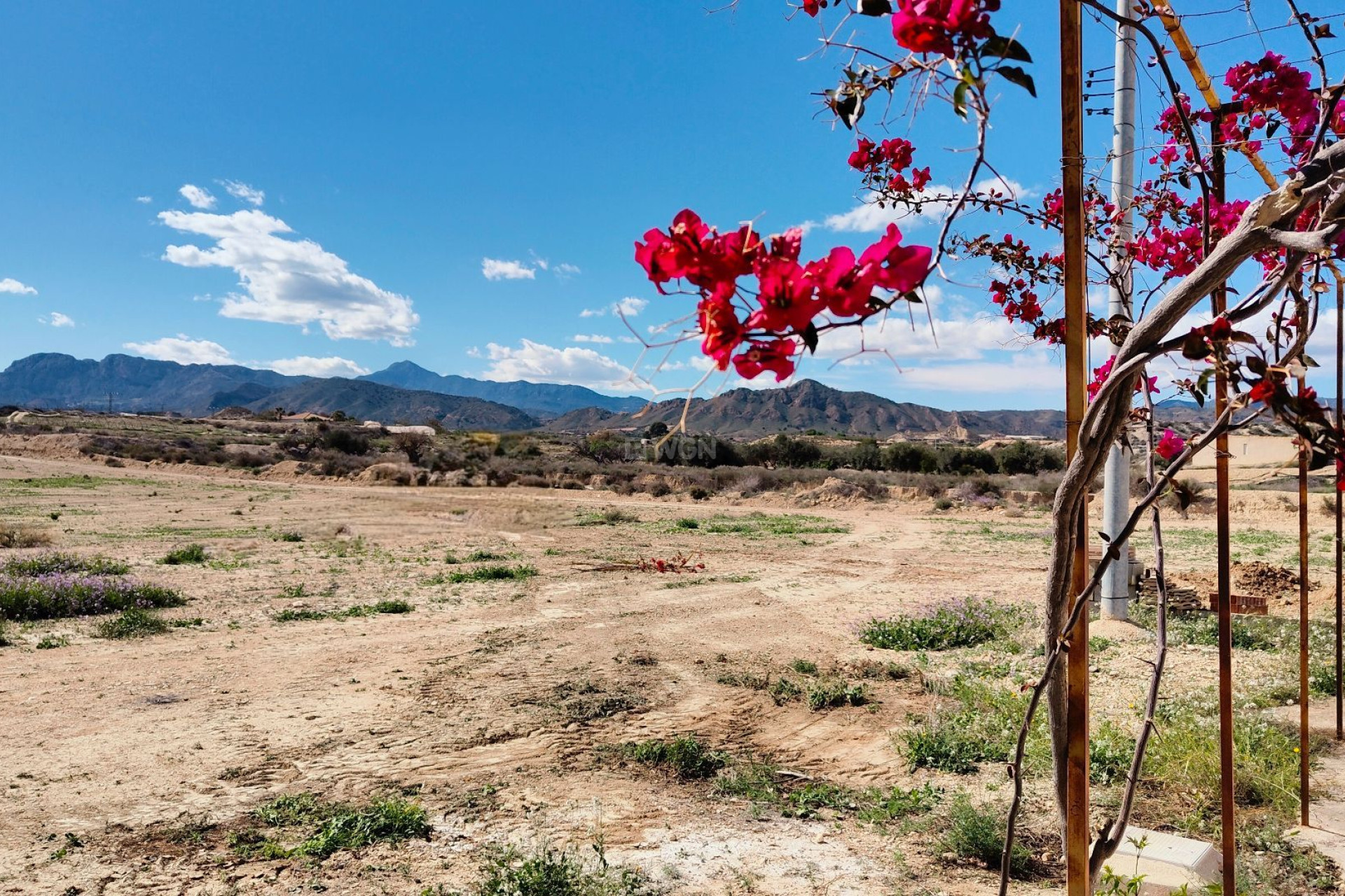 Wiederverkauf - Villa - Abanilla - Inland