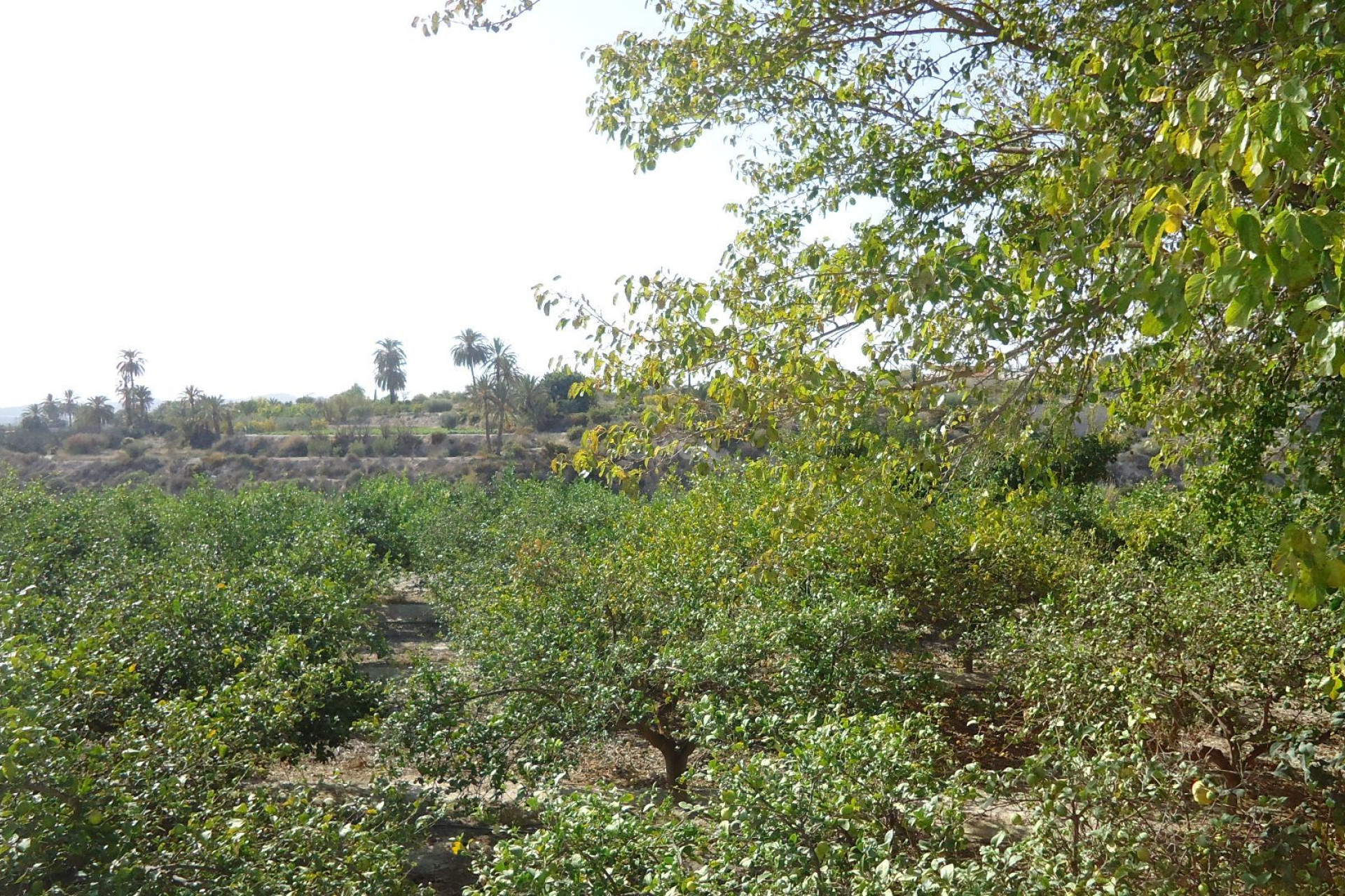 Wiederverkauf - Villa - Abanilla - Inland