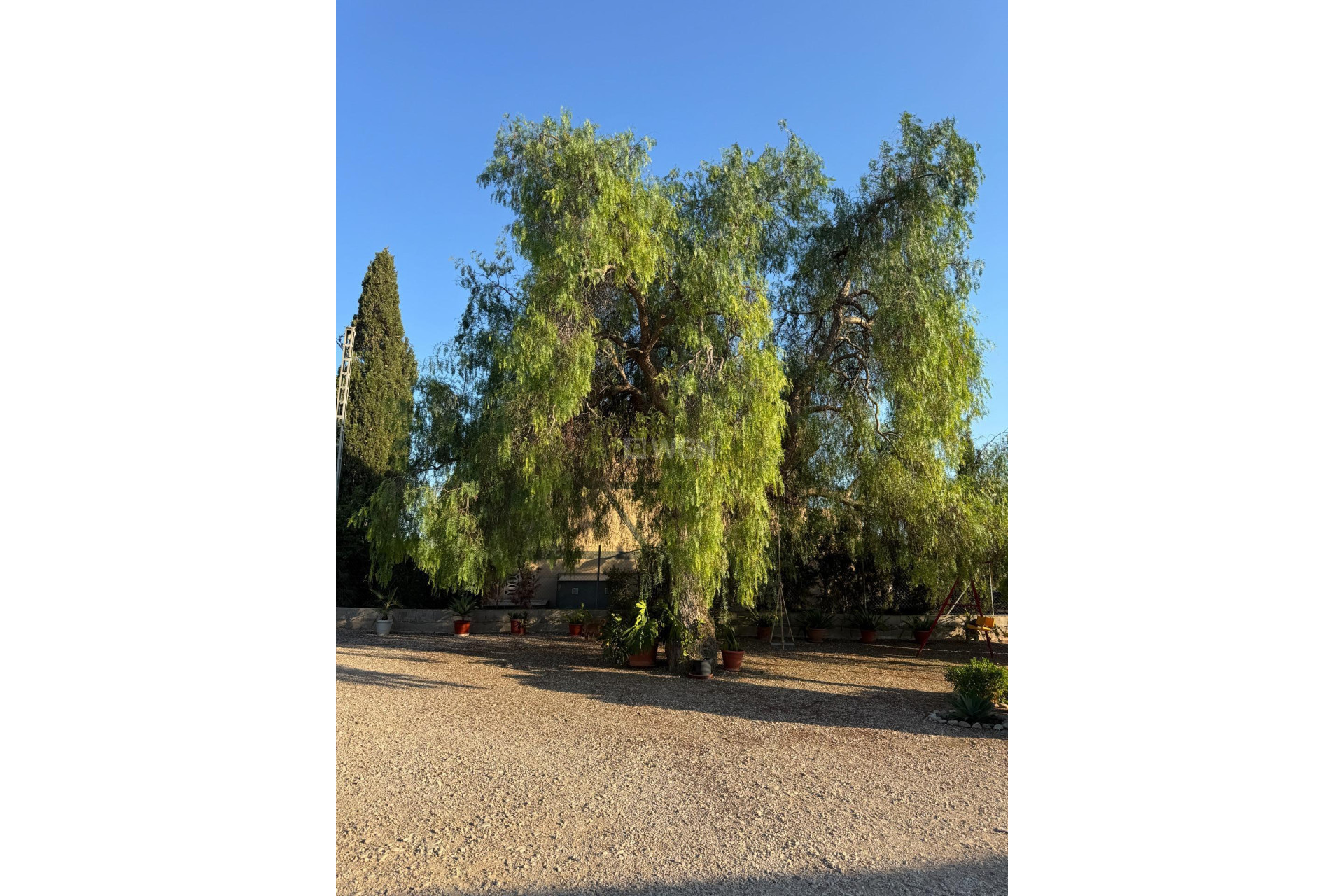 Wiederverkauf - Villa - Albatera - Partida Lomas