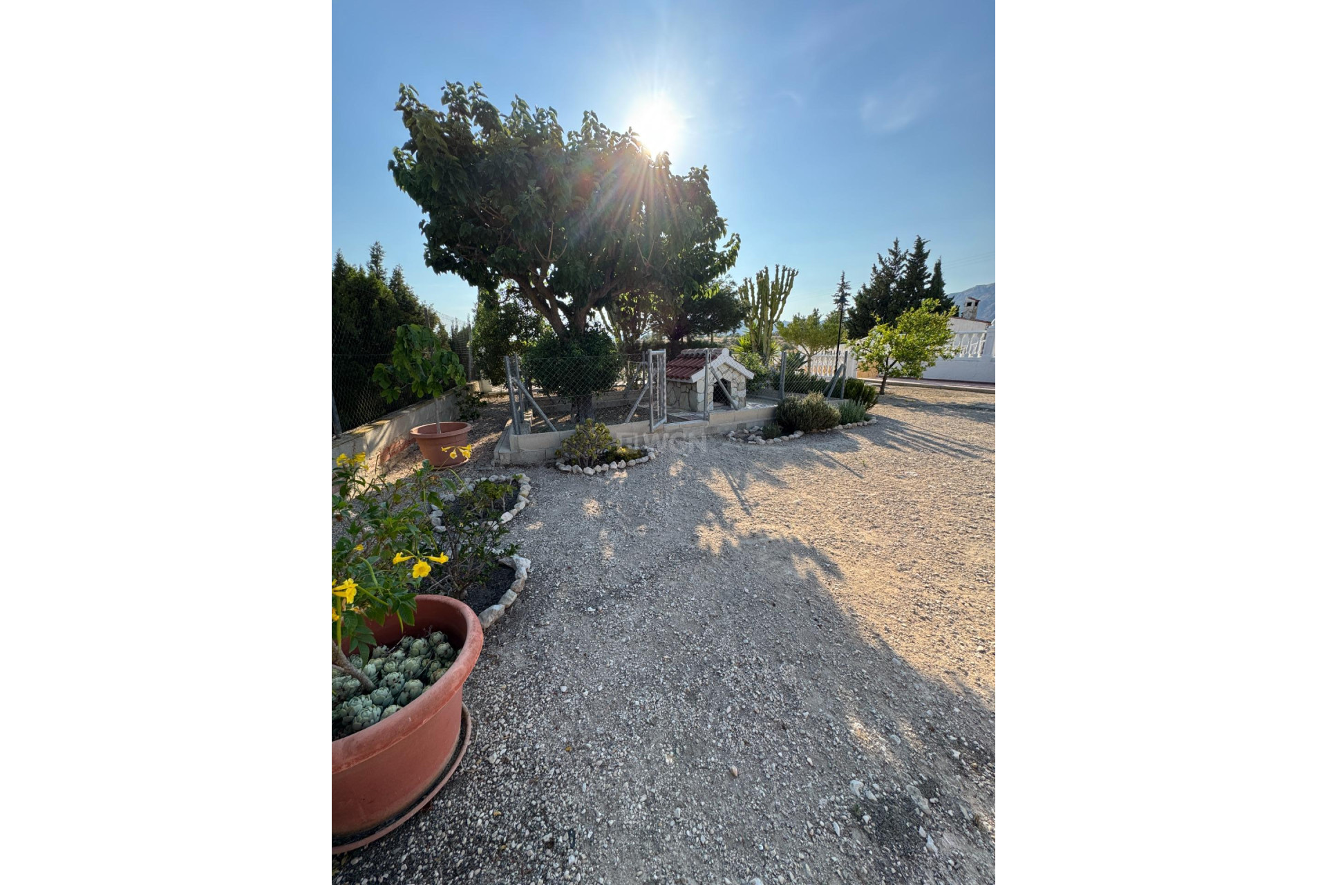 Wiederverkauf - Villa - Albatera - Partida Lomas