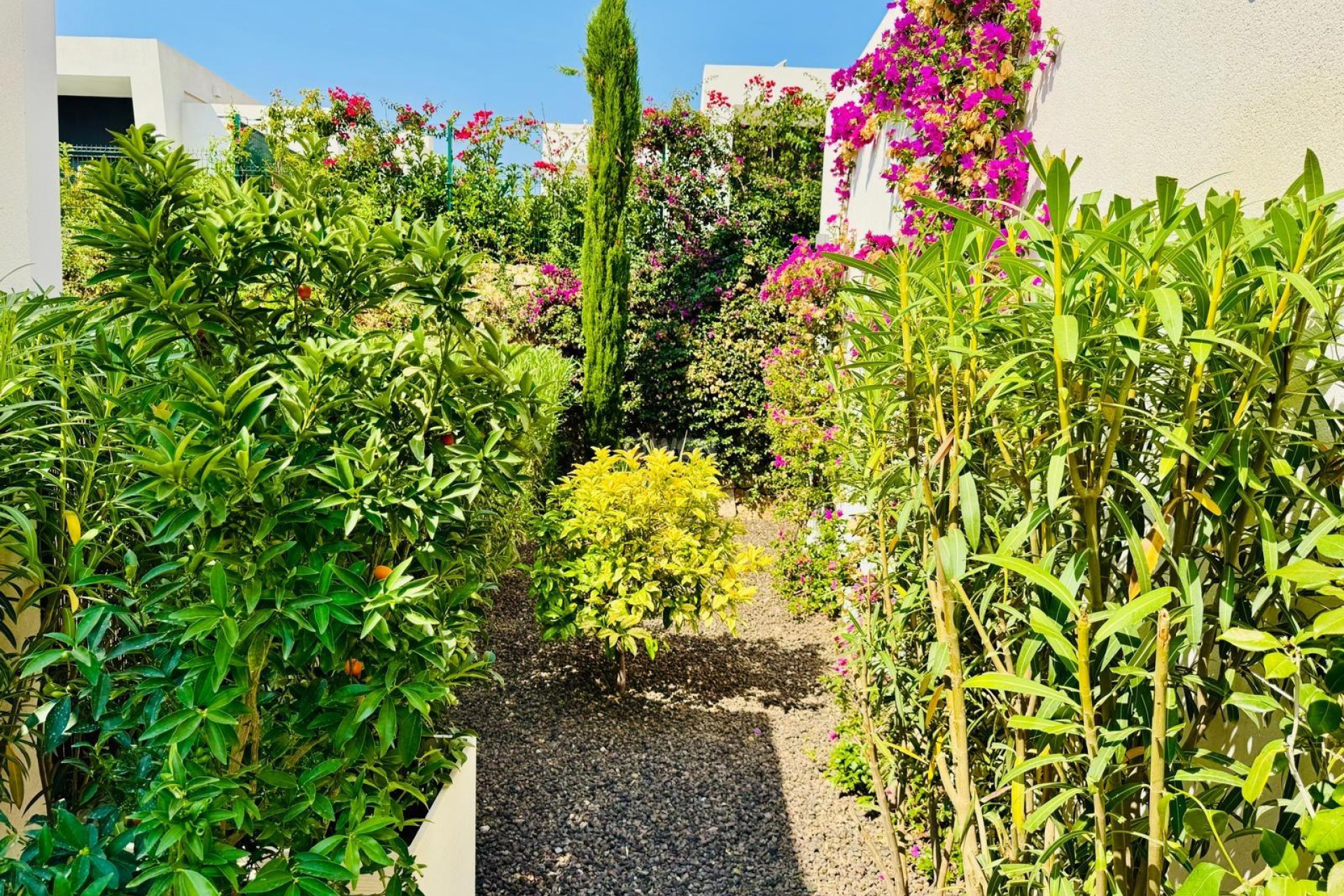 Wiederverkauf - Villa - Algorfa - Club De Golf La Finca