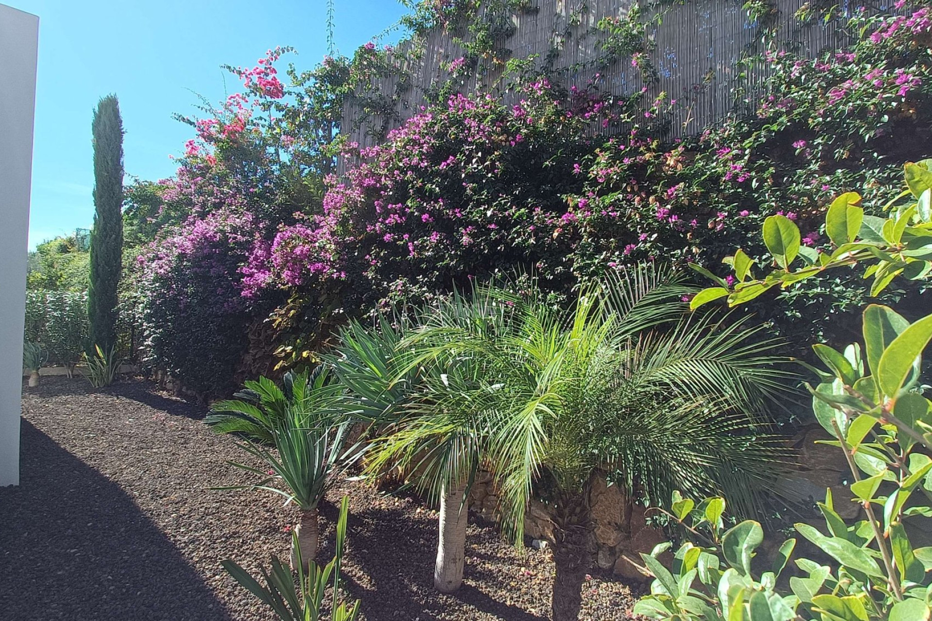 Wiederverkauf - Villa - Algorfa - Inland