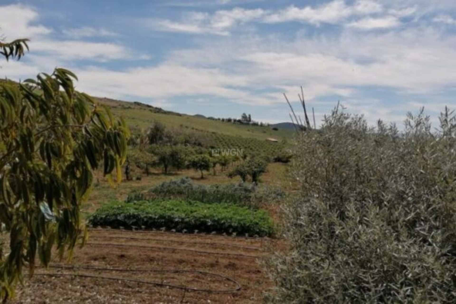 Wiederverkauf - Villa - Alora - Inland