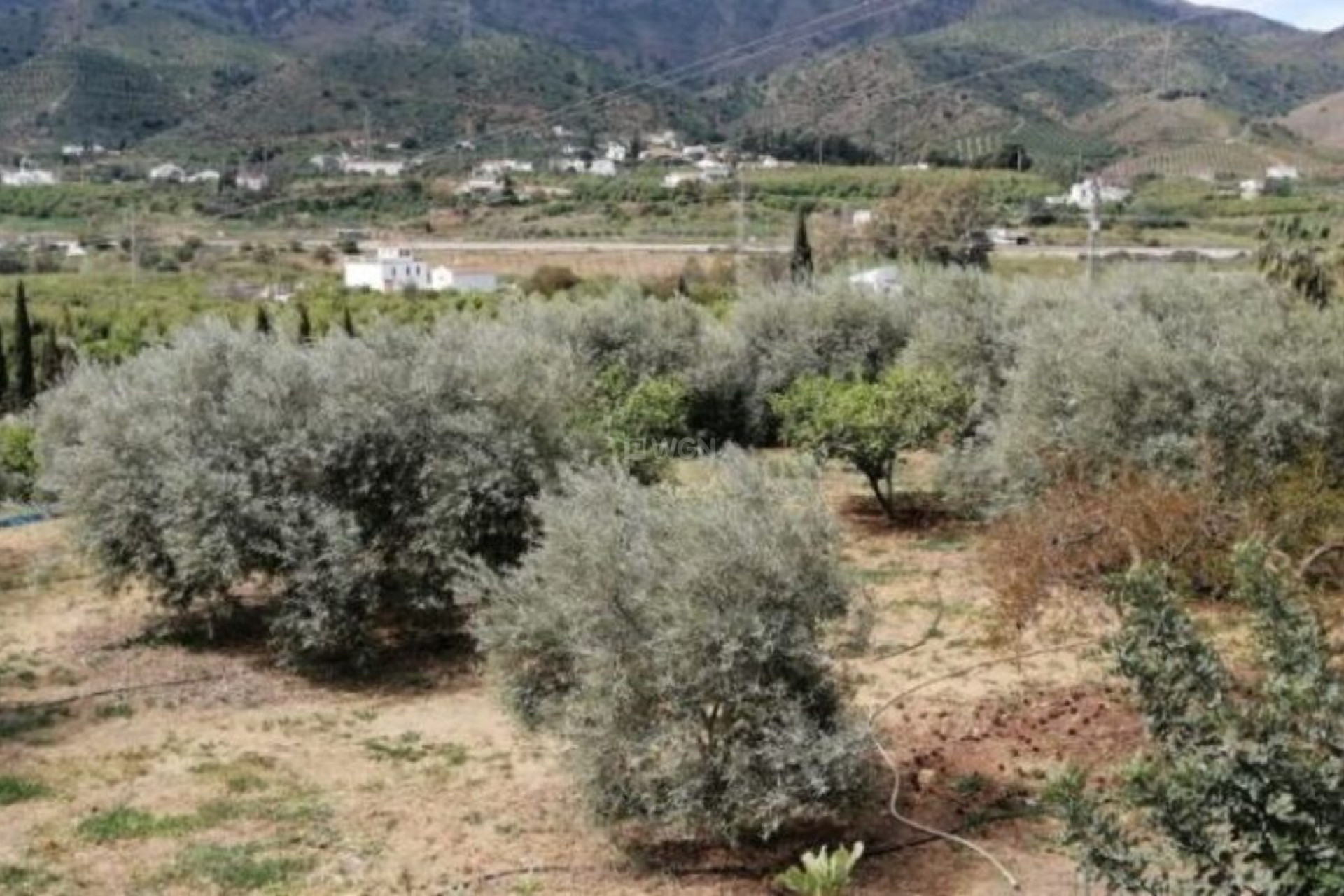 Wiederverkauf - Villa - Alora - Inland