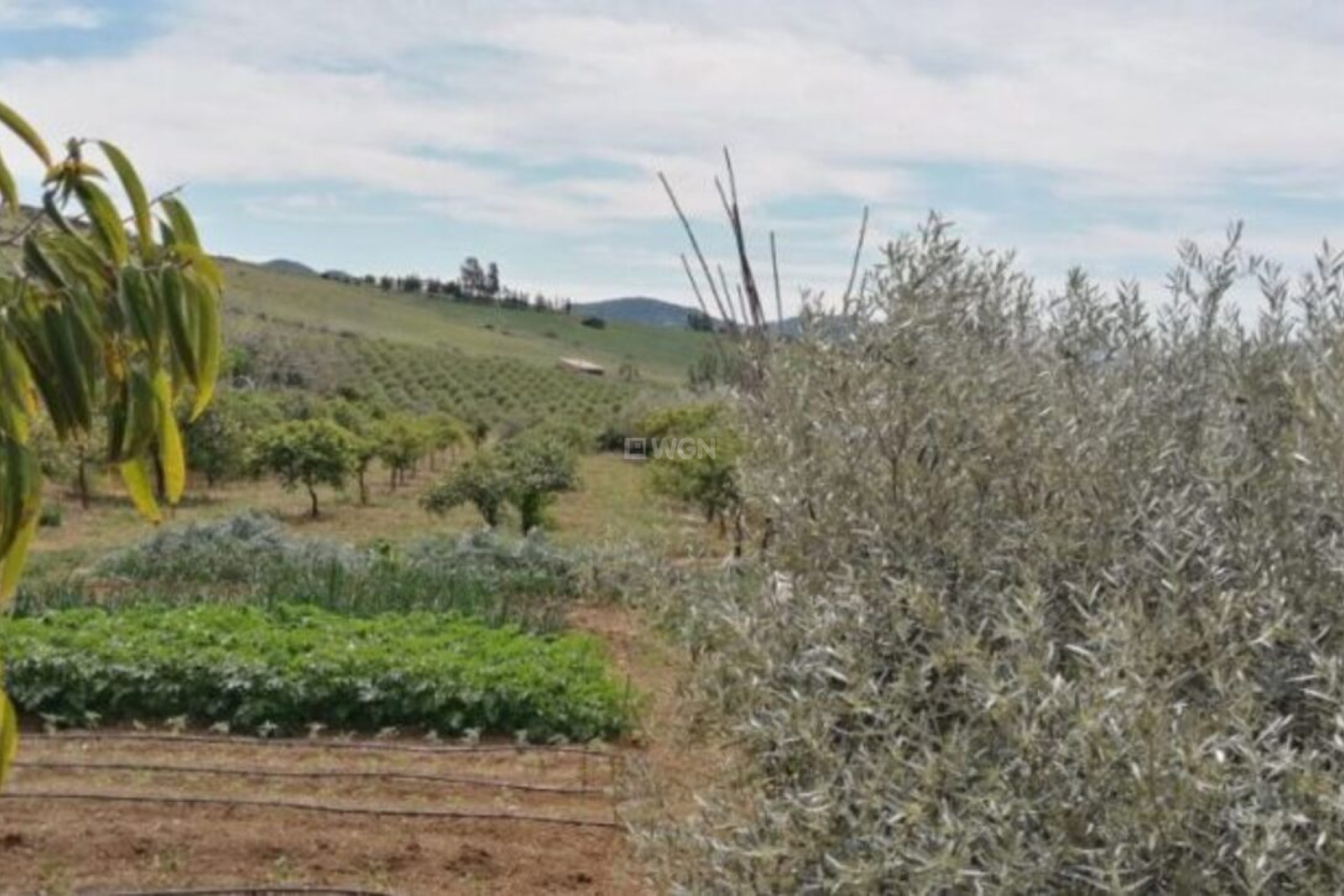 Wiederverkauf - Villa - Alora - Inland