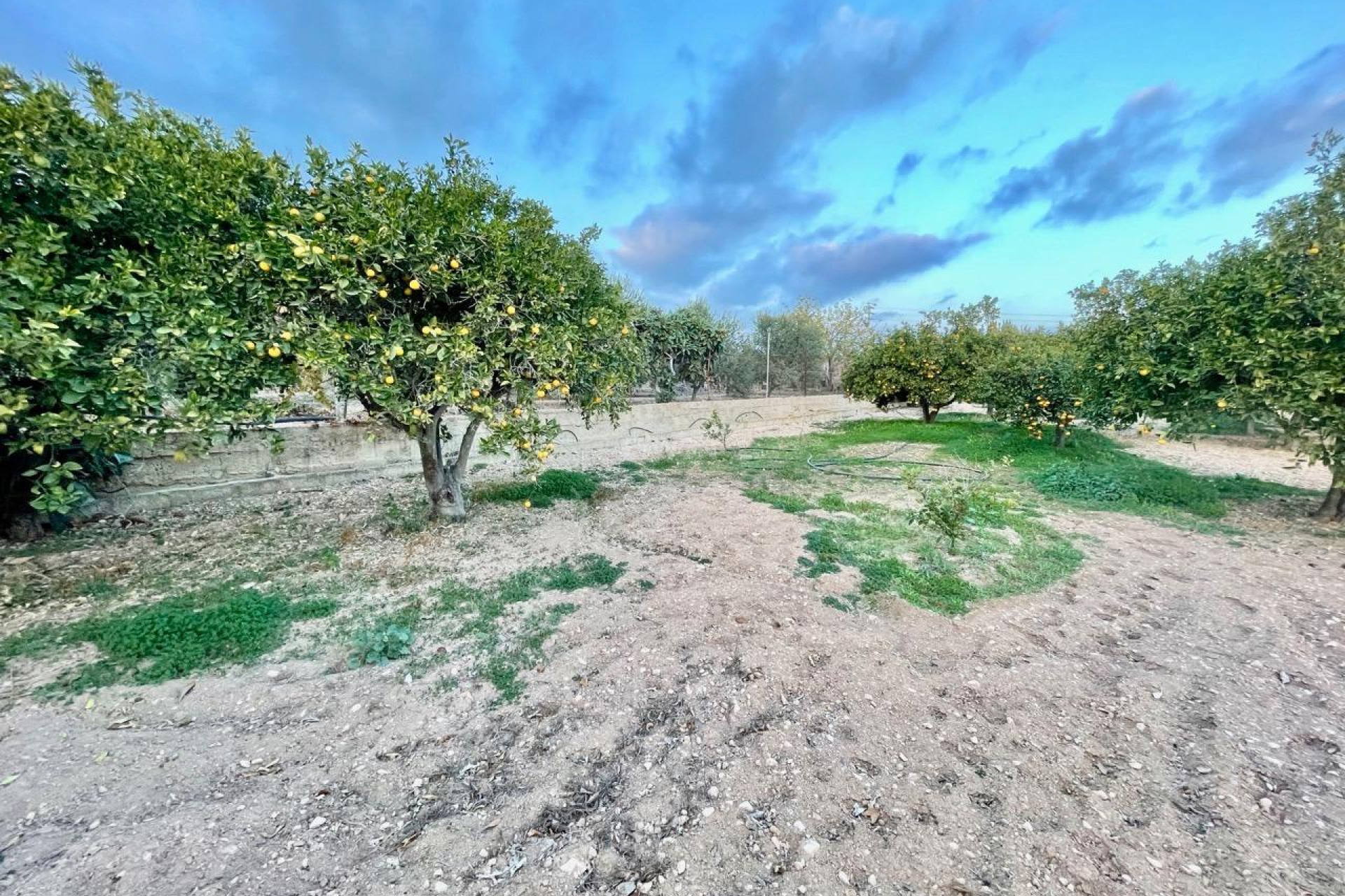 Wiederverkauf - Villa - Benidorm - Salto Del Agua