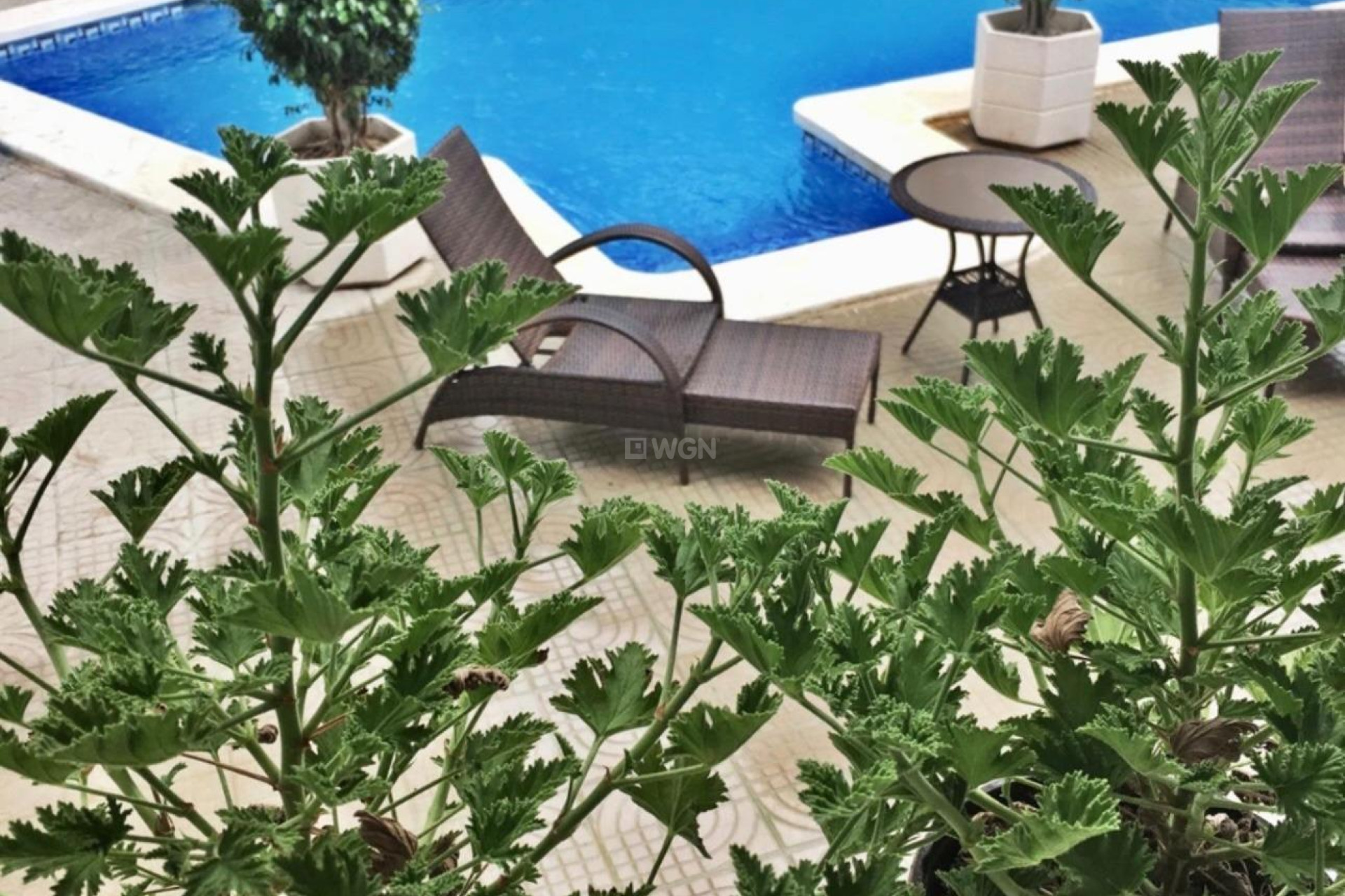 Wiederverkauf - Villa - Ciudad Quesada - Ciudad Quesada - Doña Pepa