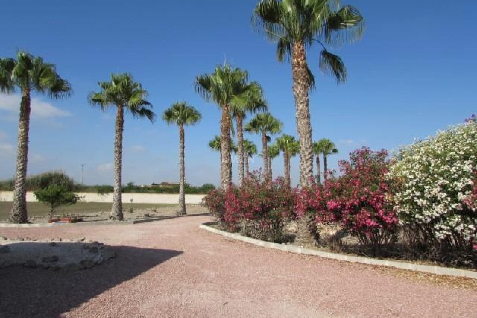 Wiederverkauf - Villa - Dolores - Comunidad Valenciana