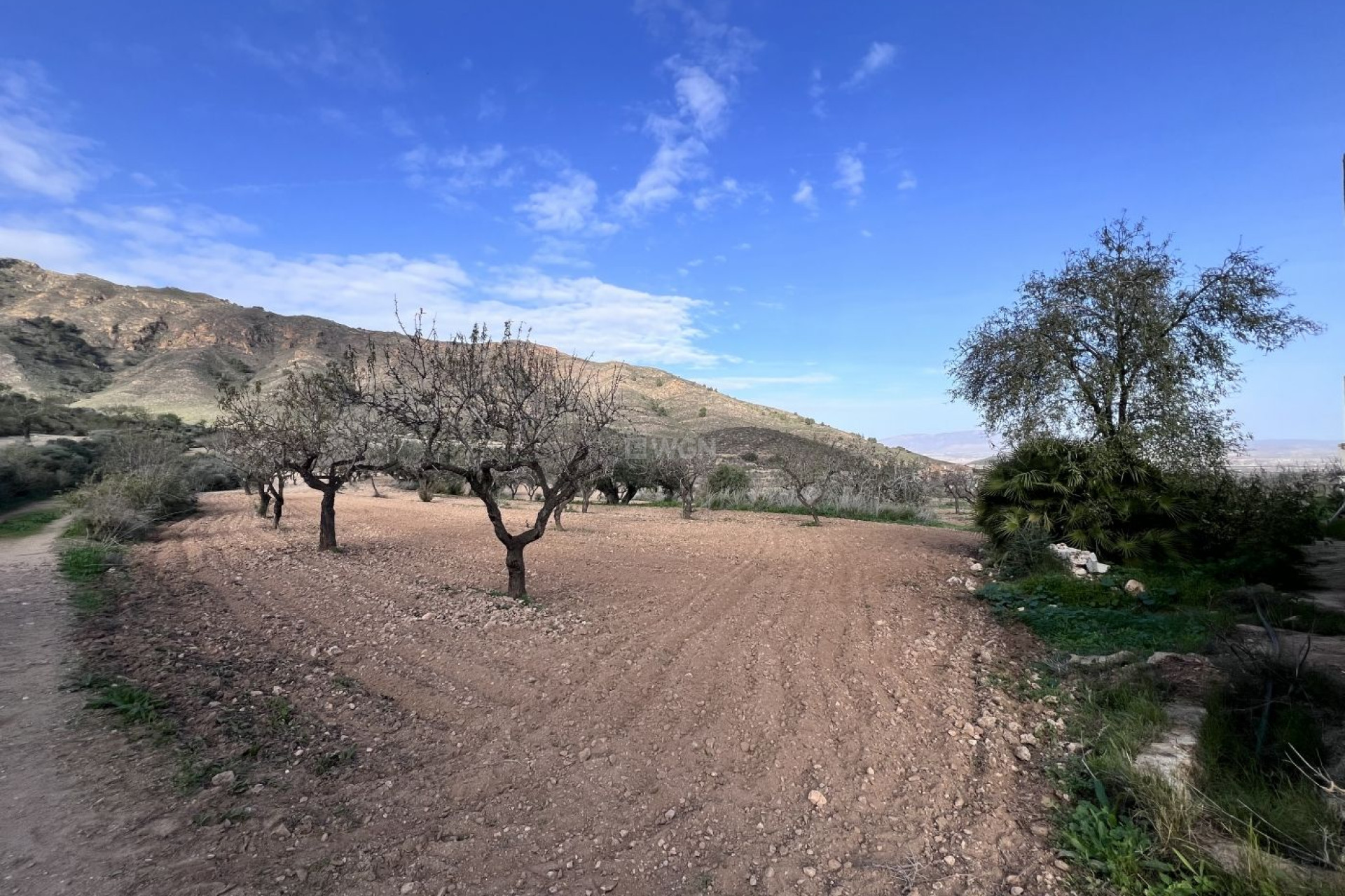 Wiederverkauf - Villa - Fuente Álamo - La Pinilla - Las Palas