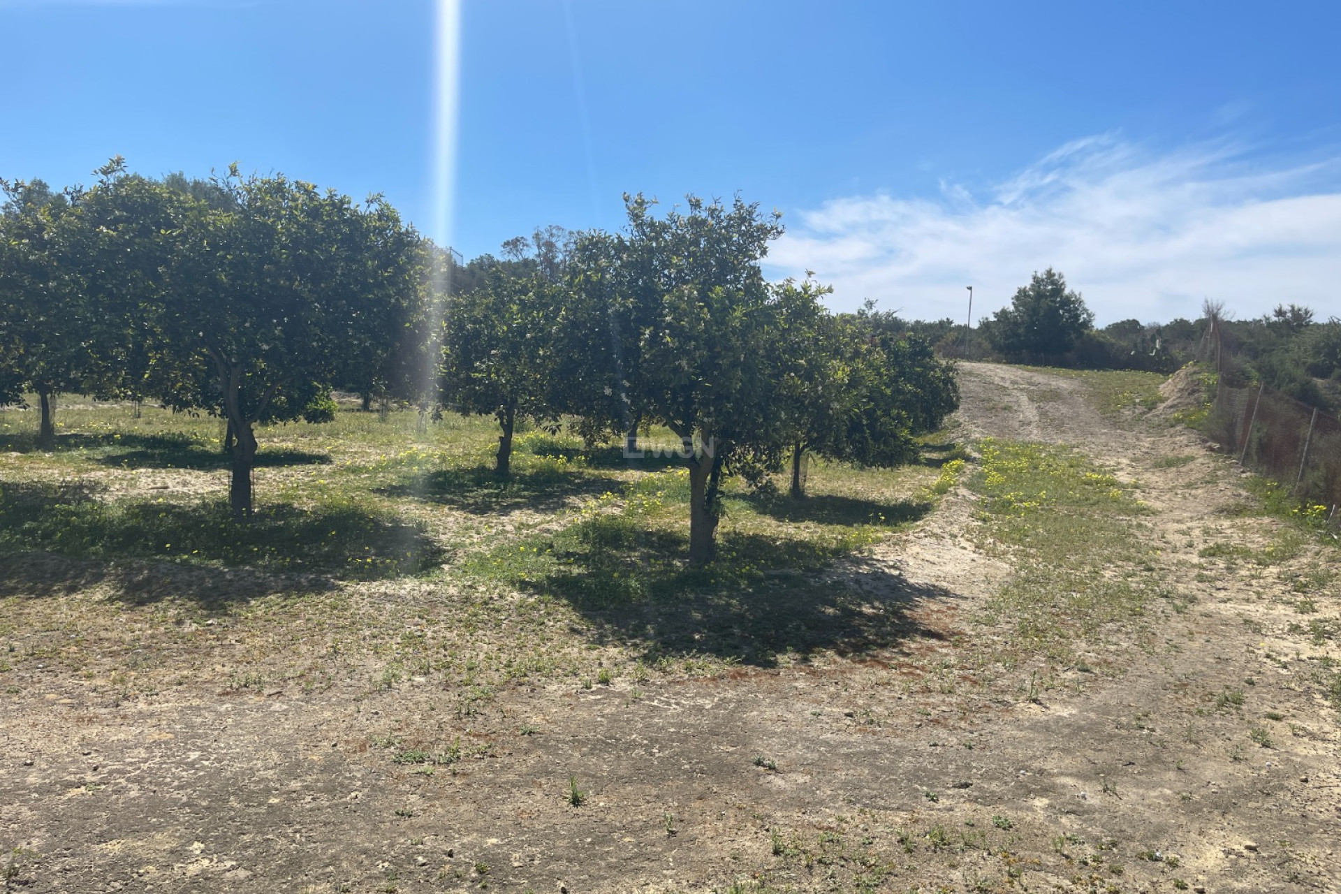 Wiederverkauf - Villa - Guardamar del Segura - Costa Blanca