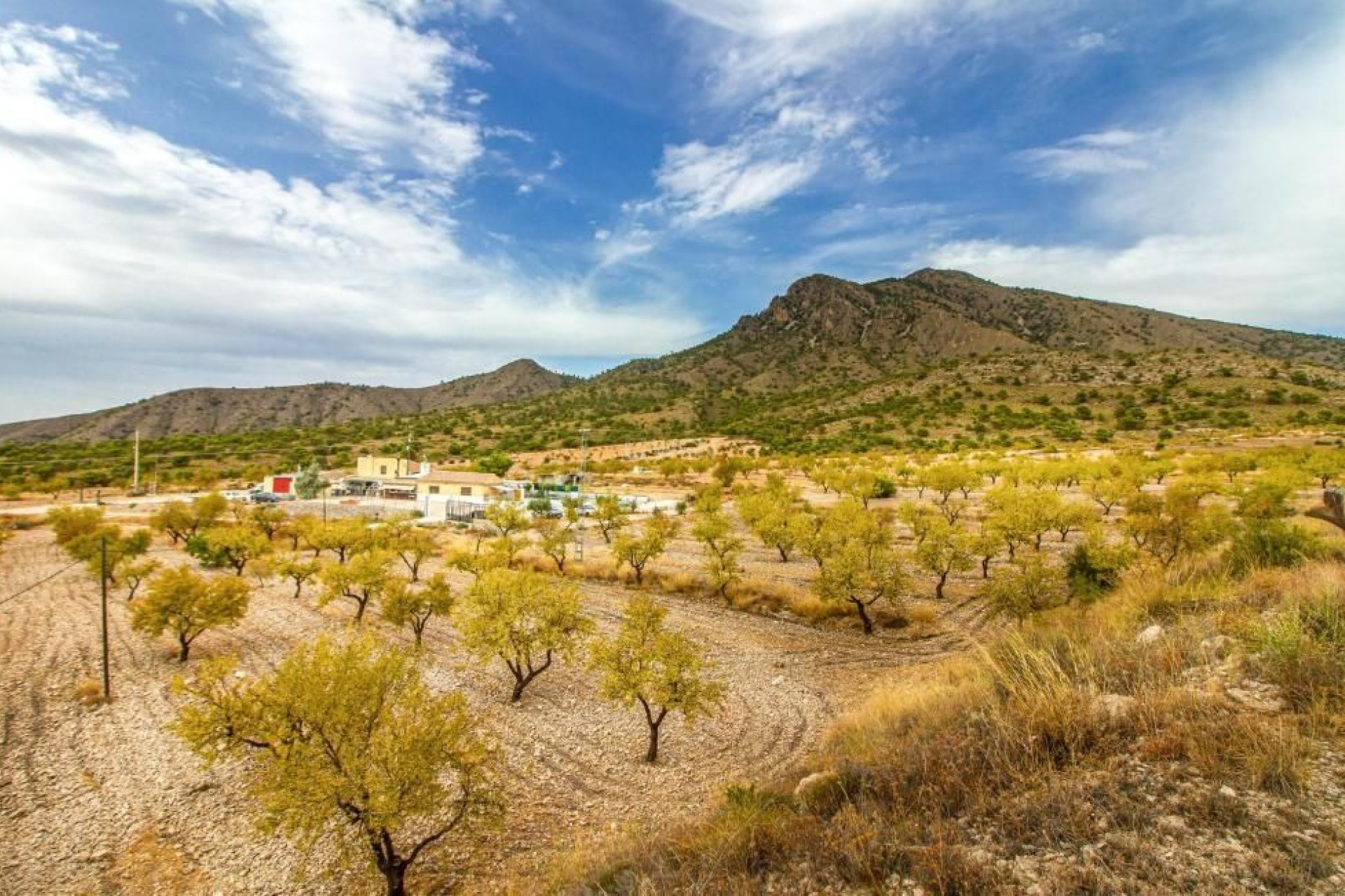 Wiederverkauf - Villa - Jumilla - Inland