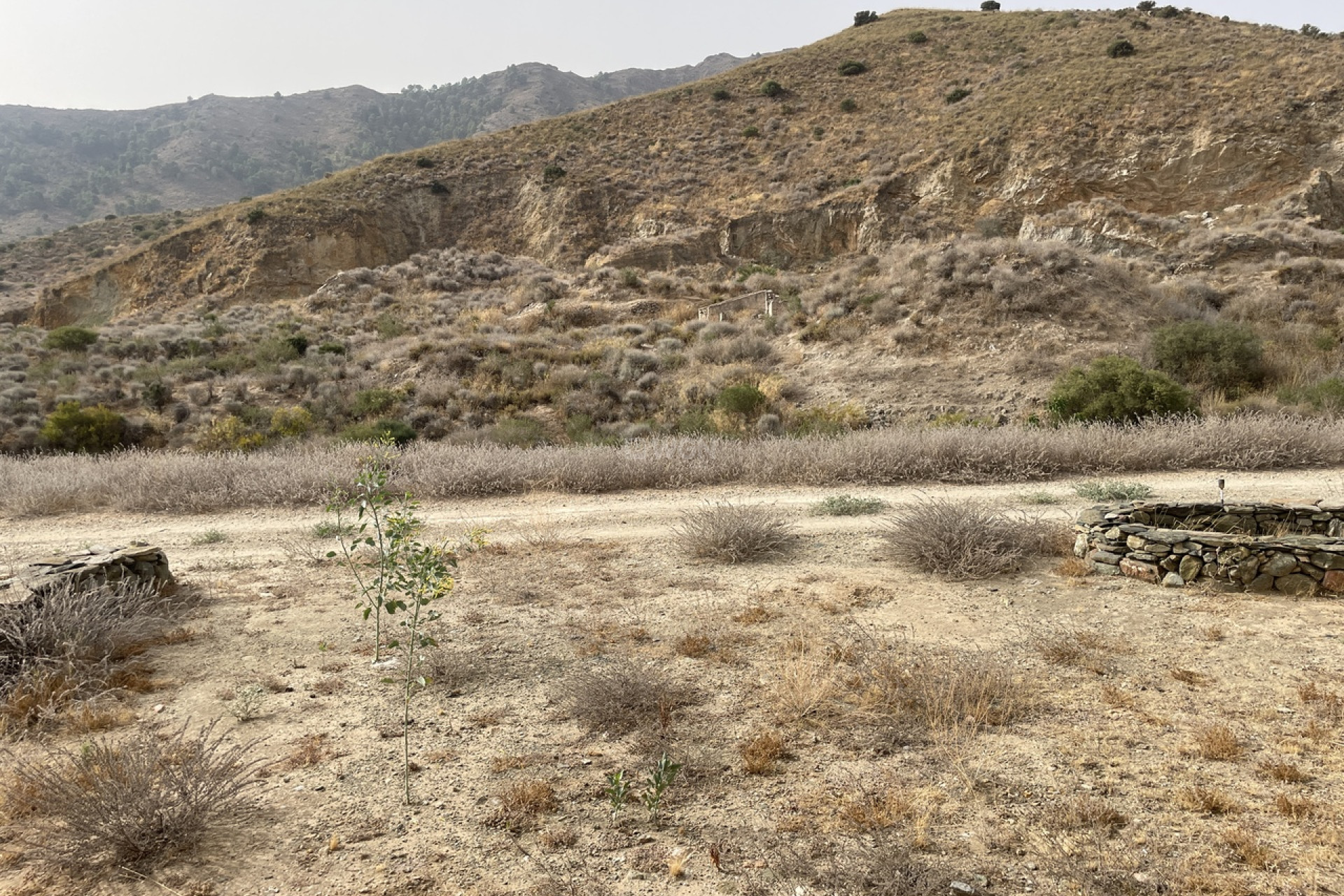 Wiederverkauf - Villa - La Pinilla - Inland