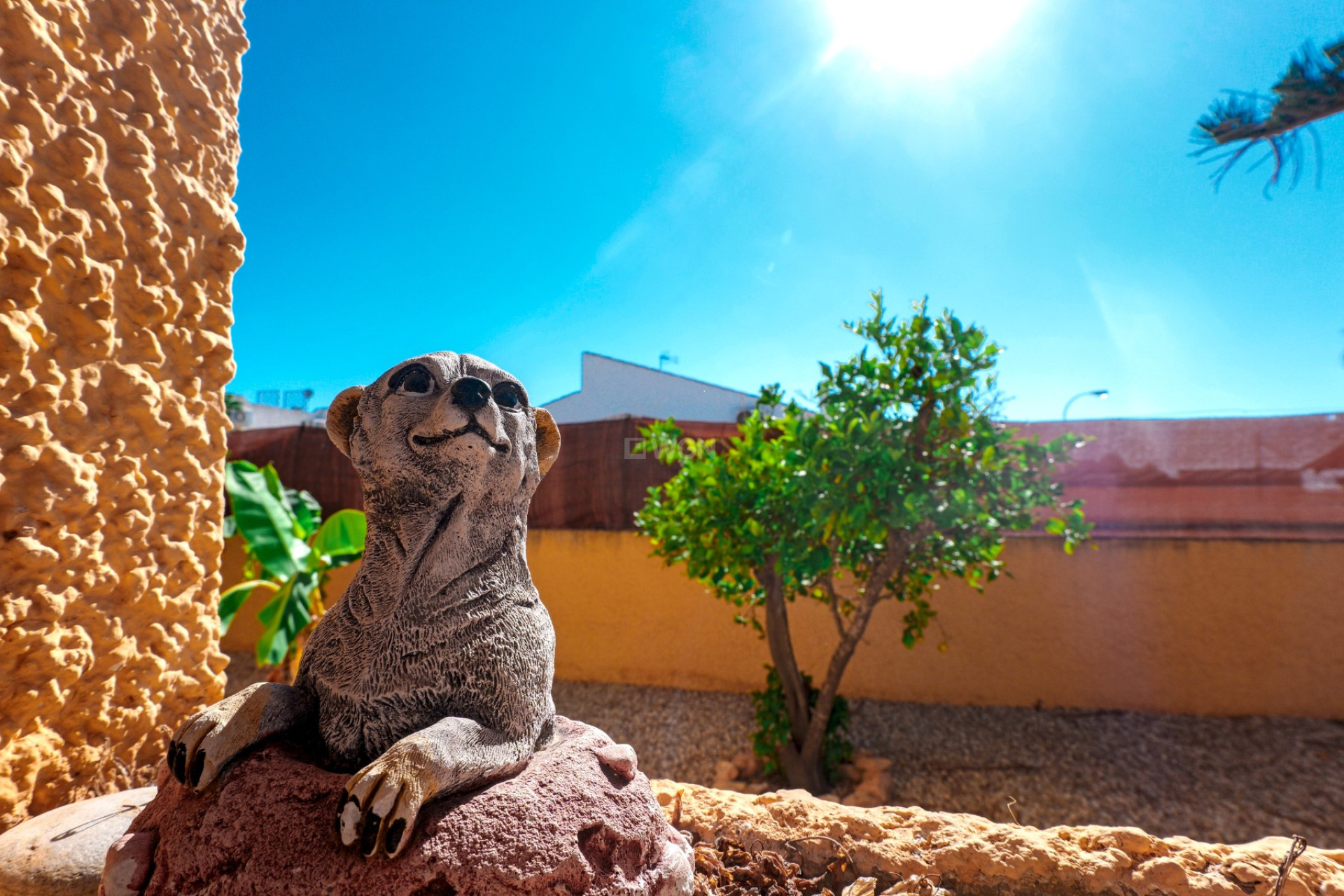 Wiederverkauf - Villa - La Siesta - Costa Blanca