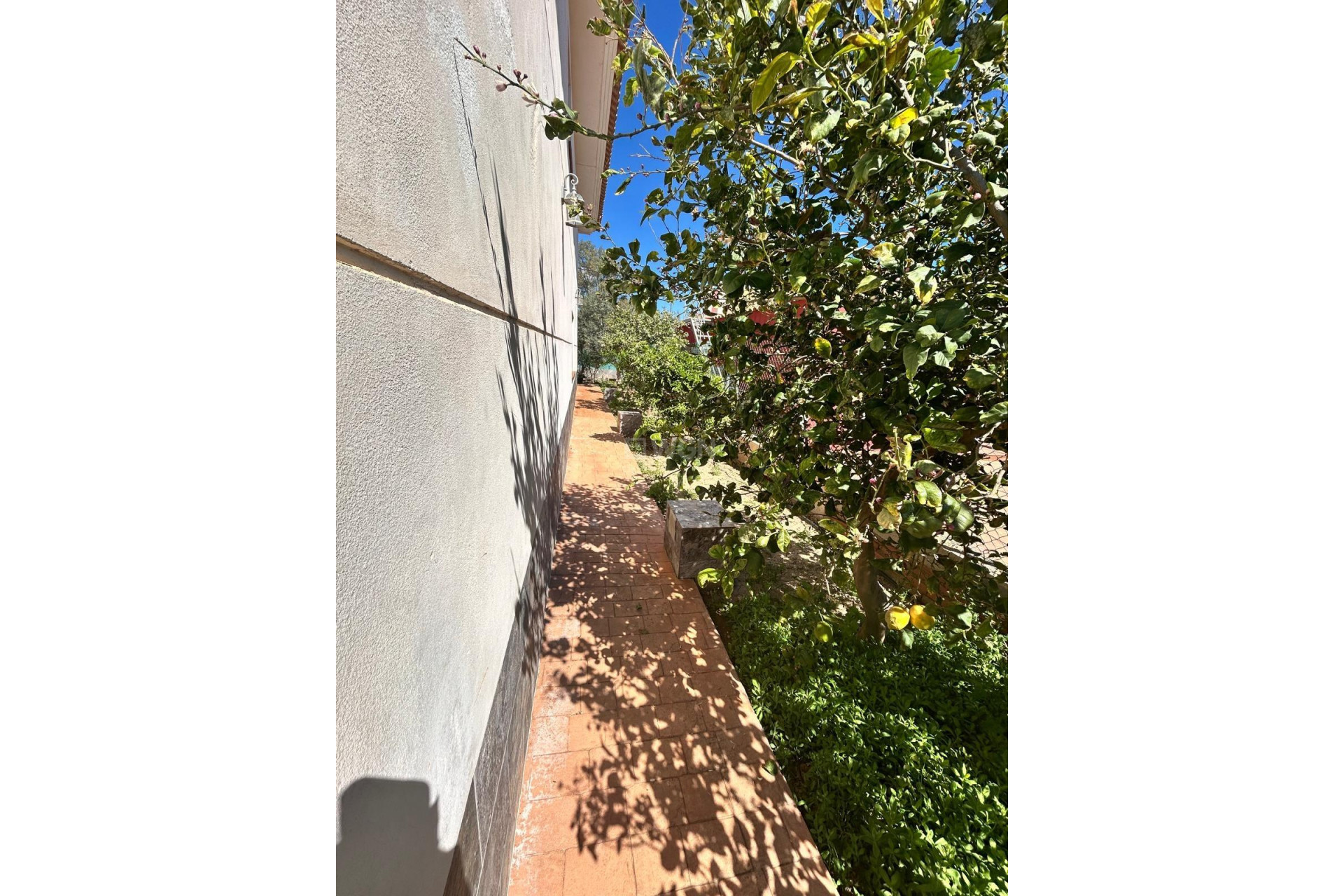 Wiederverkauf - Villa - Los Alcázares - Las Lomas Del Rame-bahía Bella