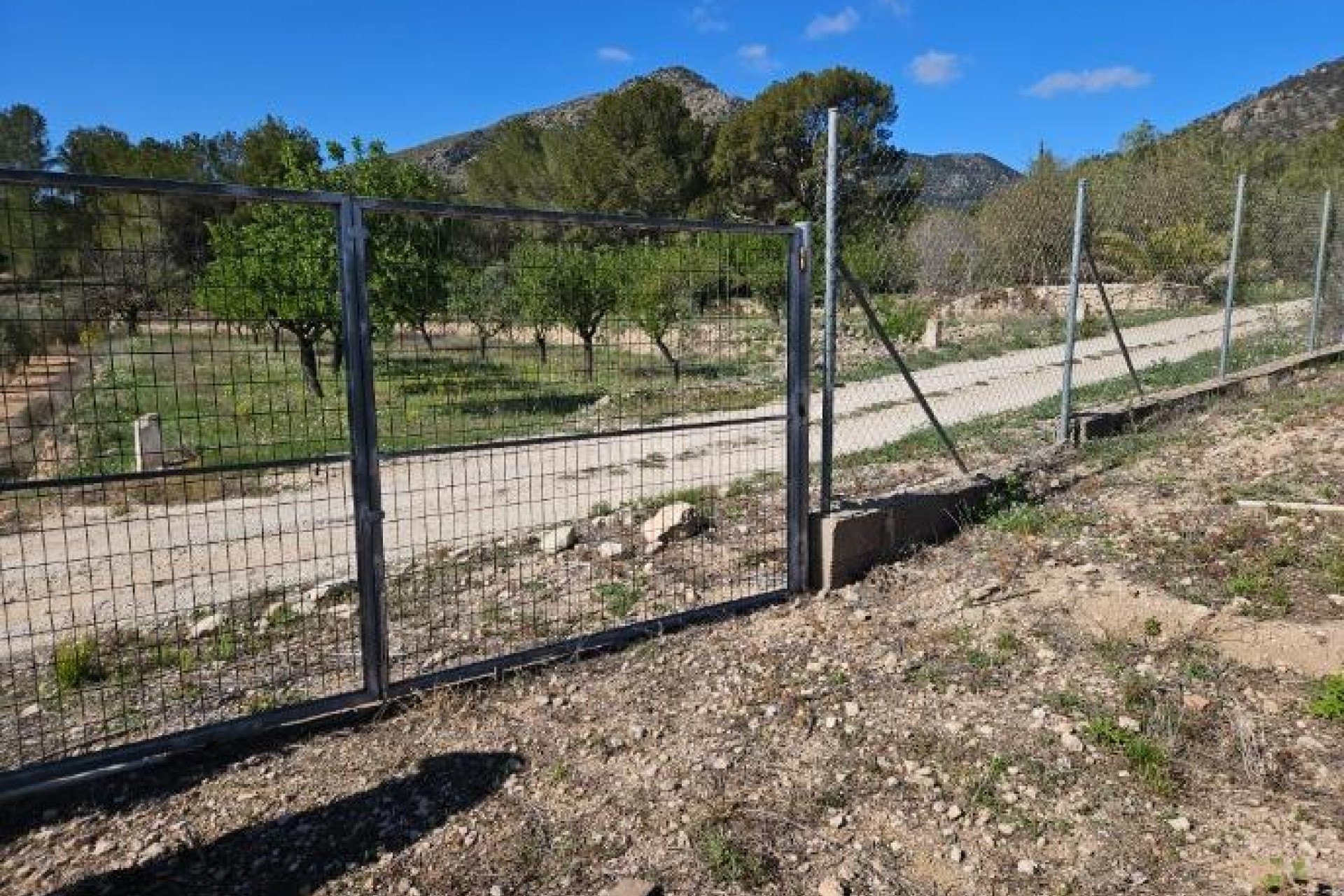 Wiederverkauf - Villa - Monóvar/Monóver - Comunidad Valenciana