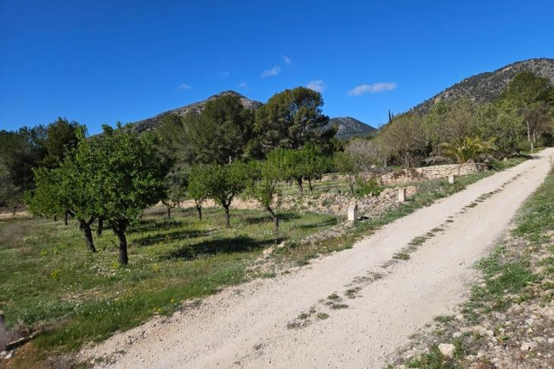 Wiederverkauf - Villa - Monóvar/Monóver - Comunidad Valenciana