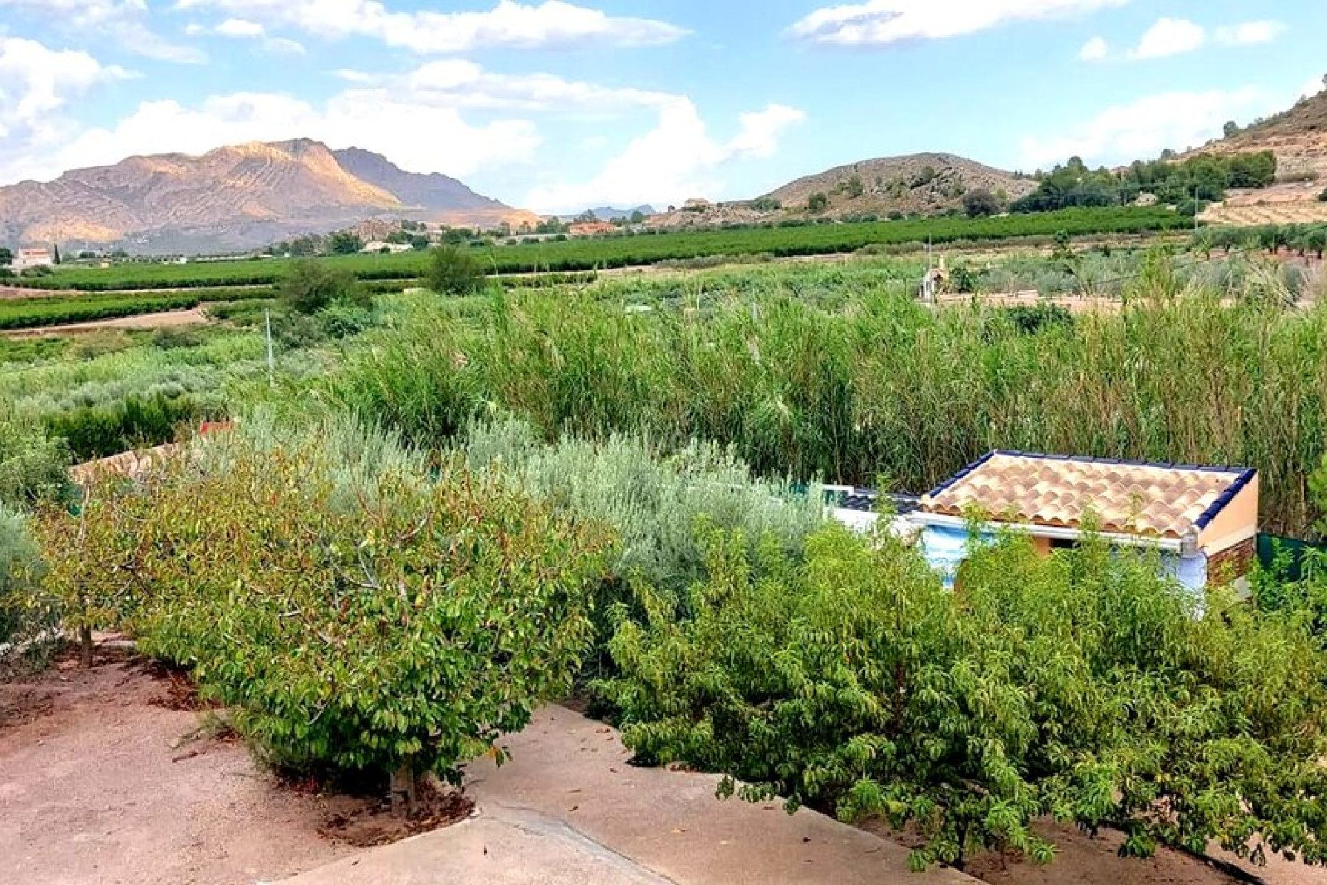 Wiederverkauf - Villa - Murcia - Inland