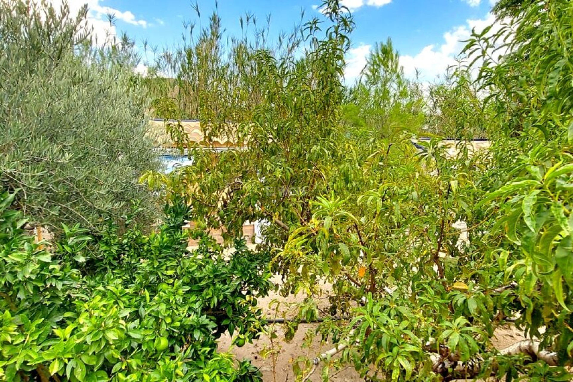 Wiederverkauf - Villa - Murcia - Inland