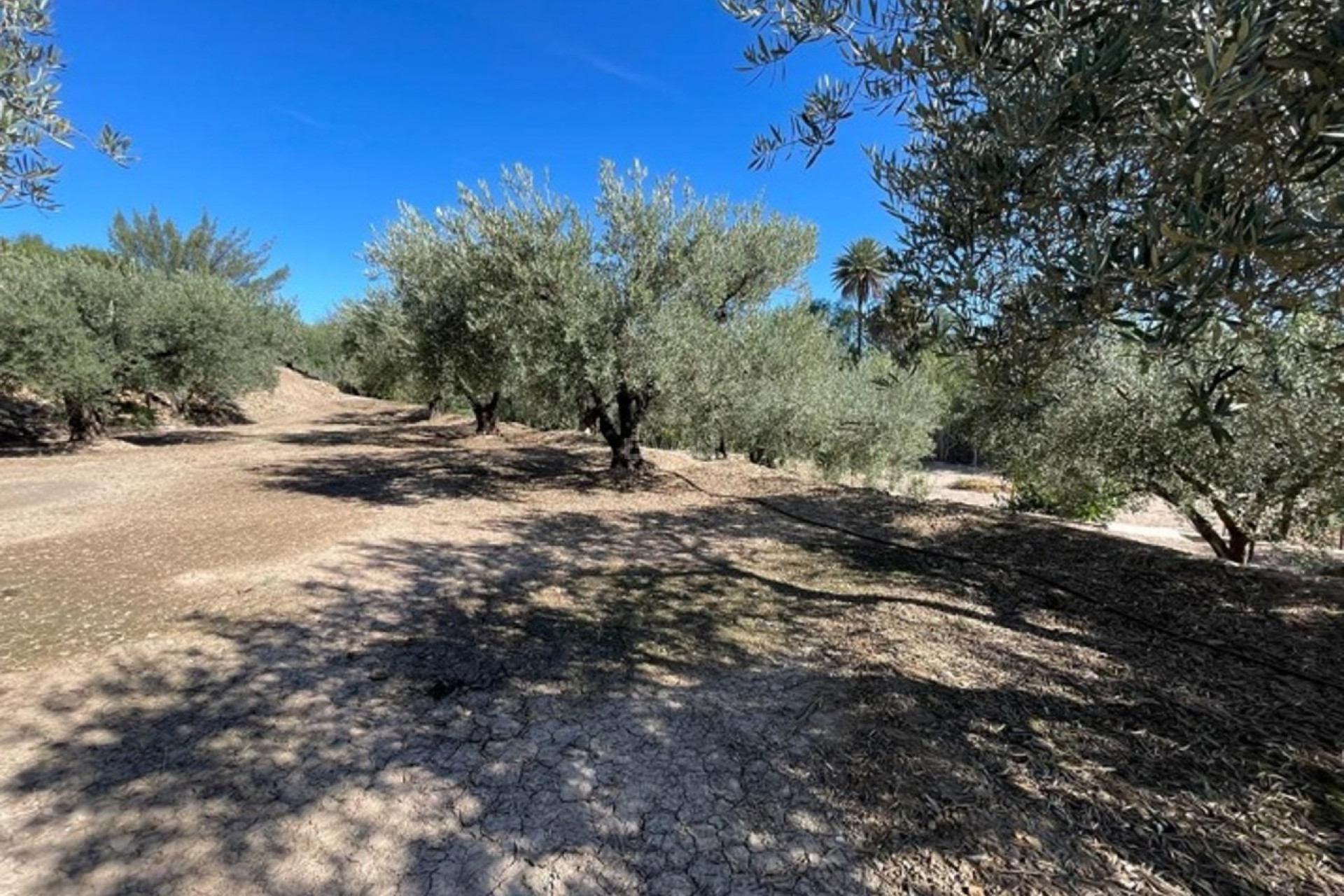 Wiederverkauf - Villa - Murcia - Inland
