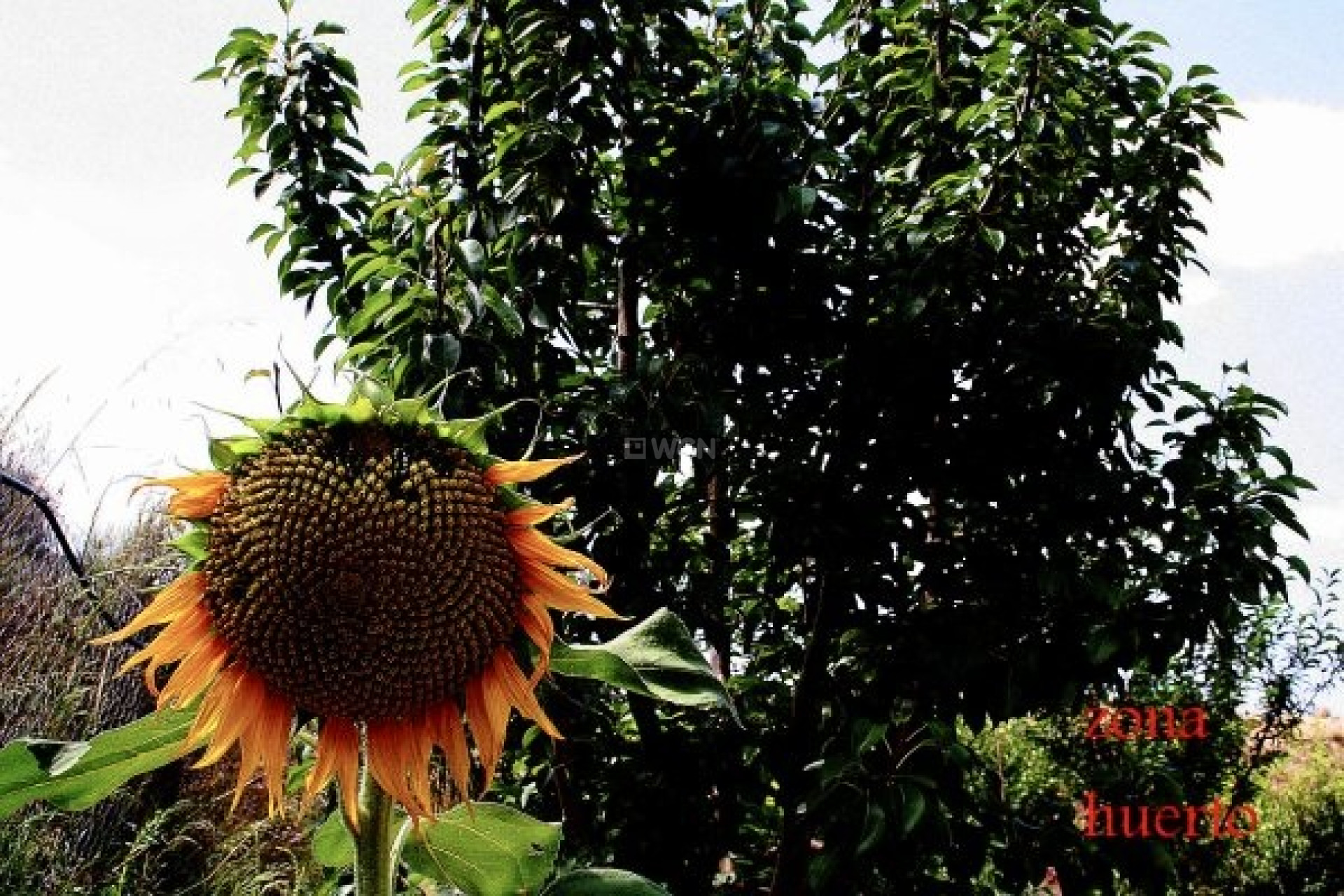 Wiederverkauf - Villa - Murcia - Inland