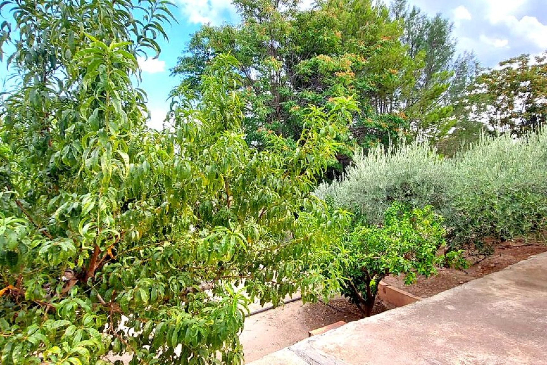 Wiederverkauf - Villa - Murcia - Inland