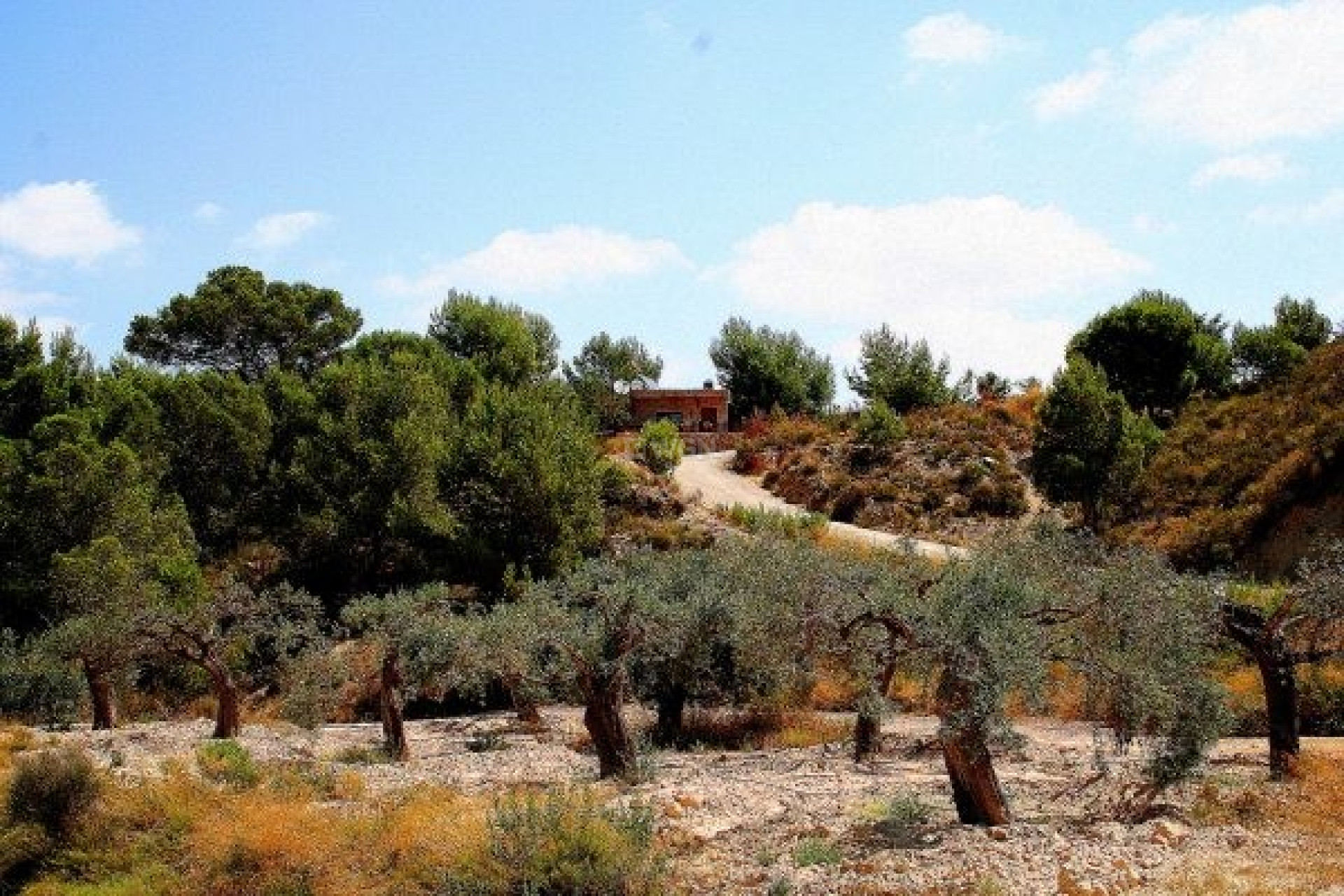Wiederverkauf - Villa - Murcia - Inland