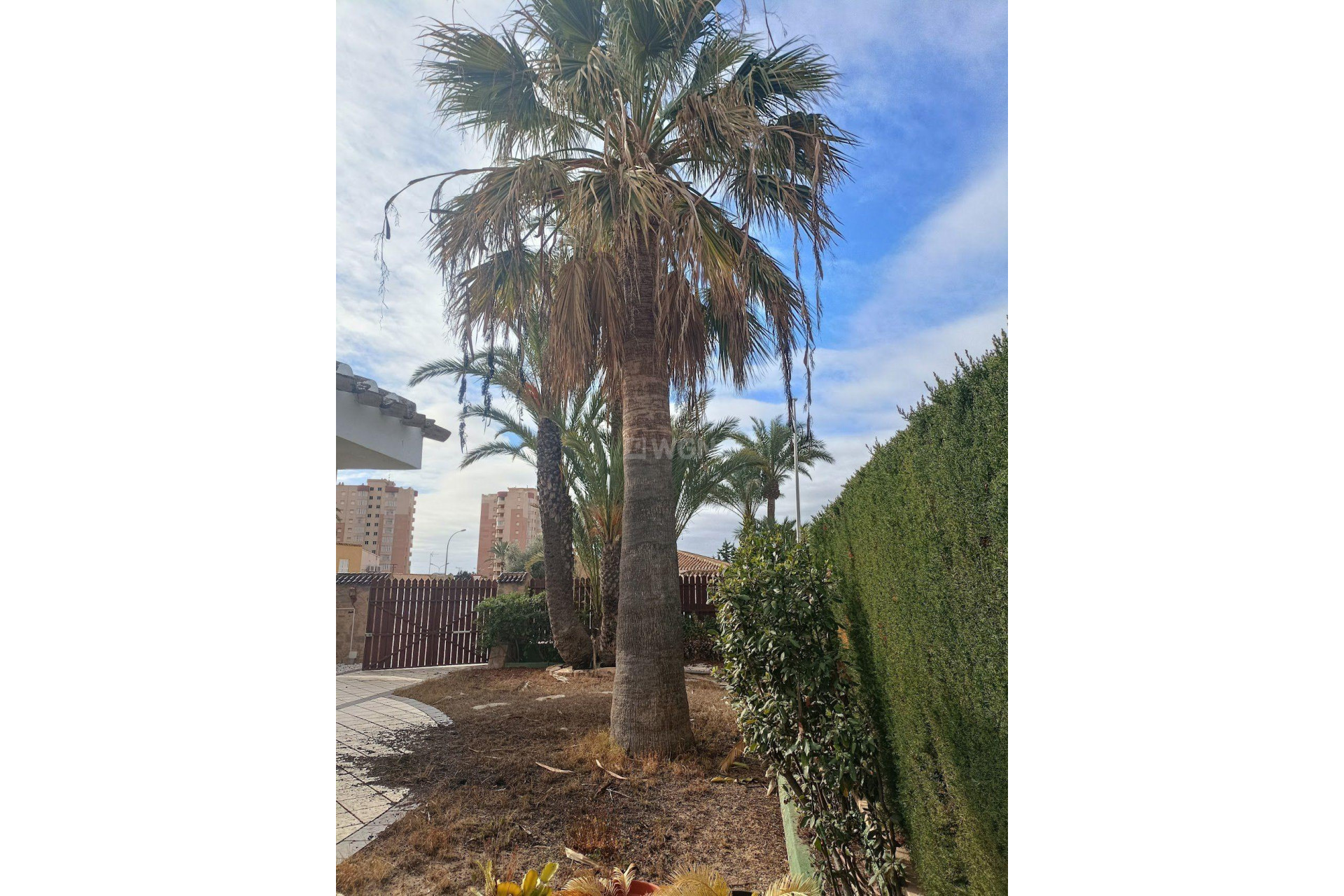 Wiederverkauf - Villa - Orihuela Costa - Campoamor