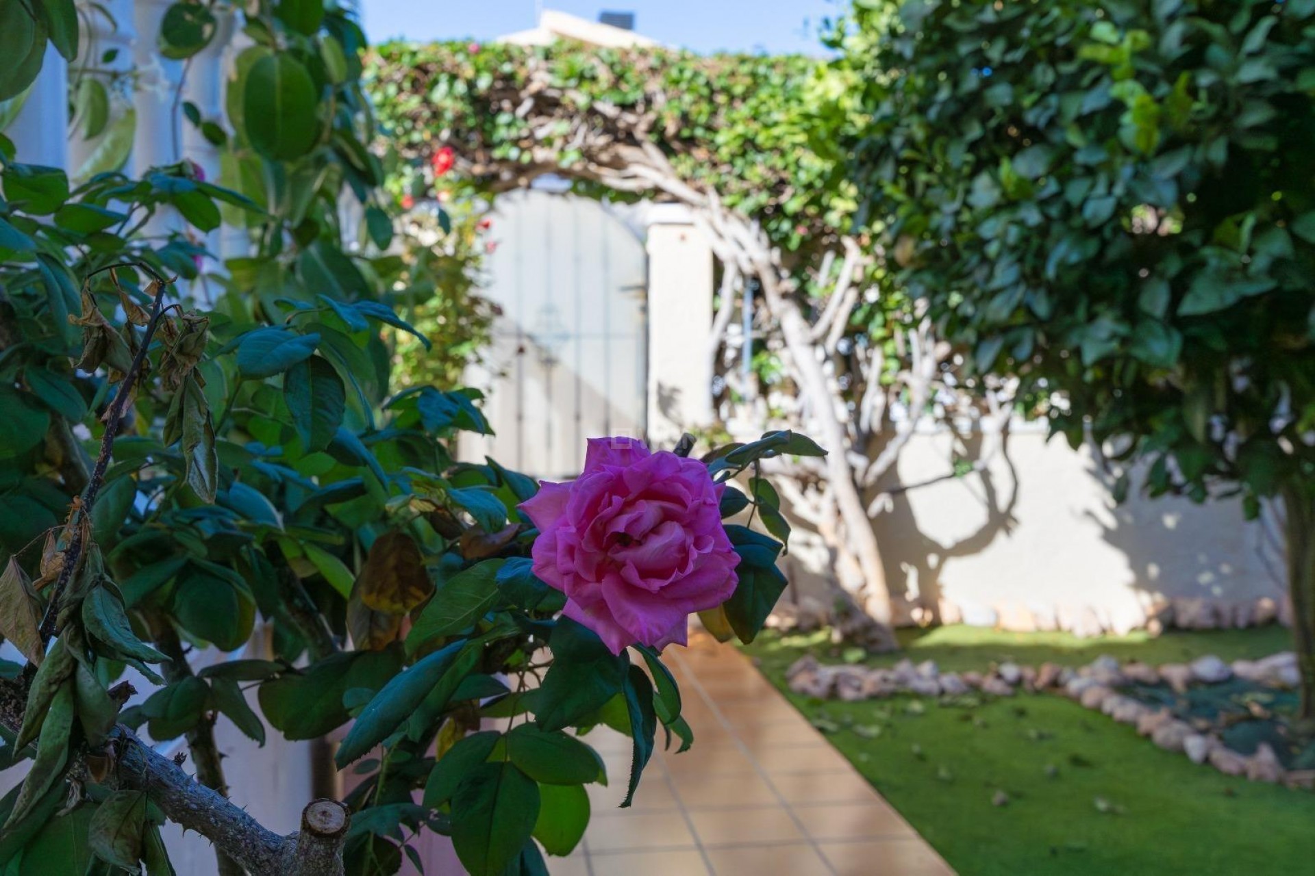 Wiederverkauf - Villa - Orihuela Costa - Lomas de Cabo Roig