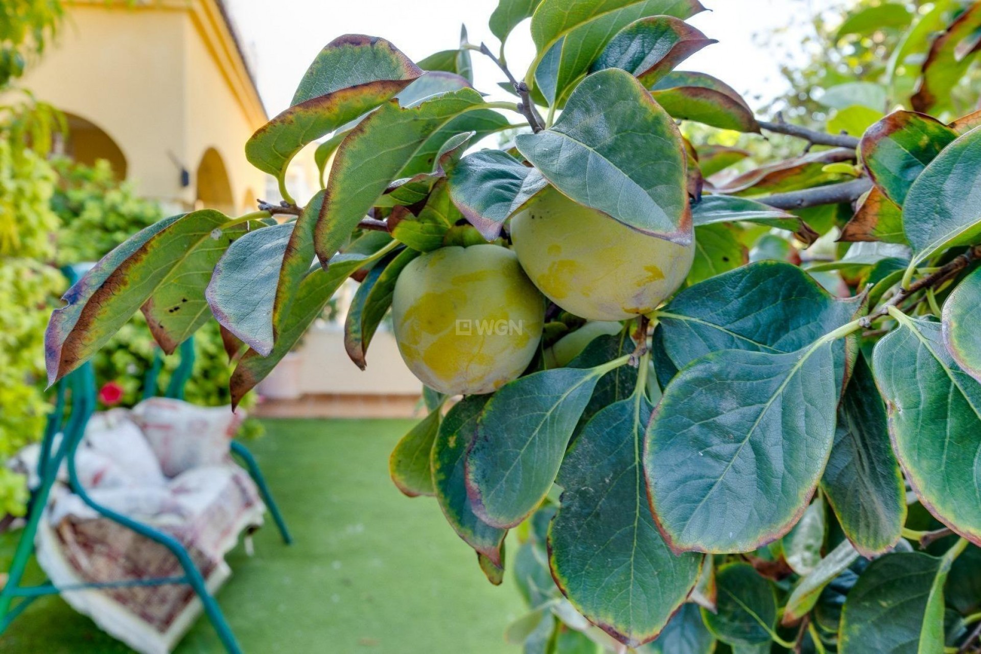 Wiederverkauf - Villa - Orihuela Costa - Lomas de Cabo Roig
