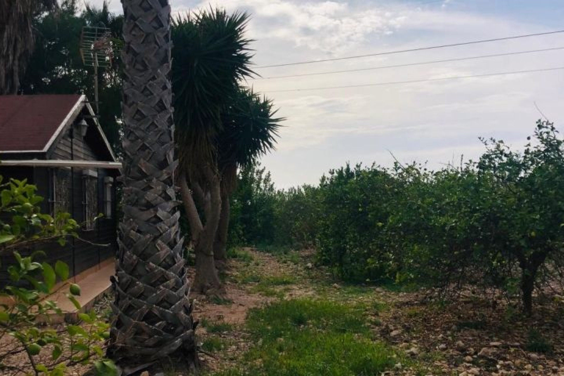 Wiederverkauf - Villa - Orihuela - Inland