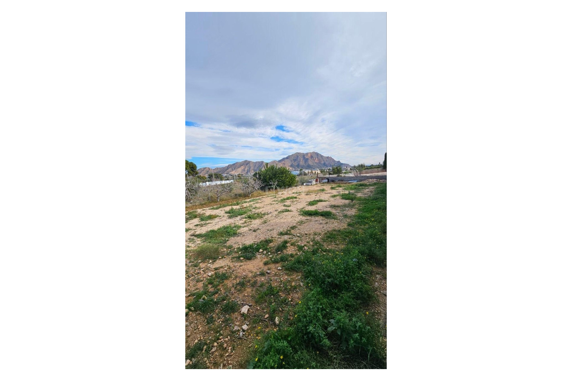 Wiederverkauf - Villa - Orihuela - Inland