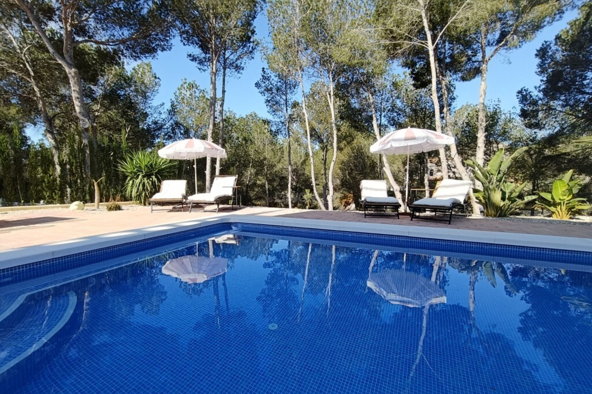 Wiederverkauf - Villa - Pilar de la Horadada - Pinar de Campoverde