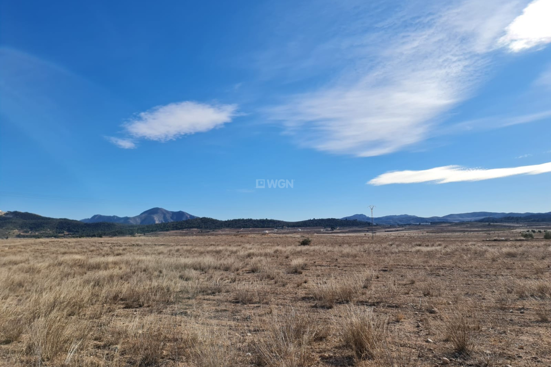 Wiederverkauf - Villa - Pinoso - Inland