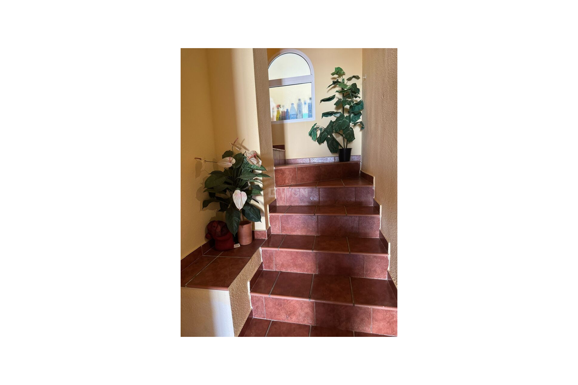 Wiederverkauf - Villa - Playa Flamenca - Costa Blanca