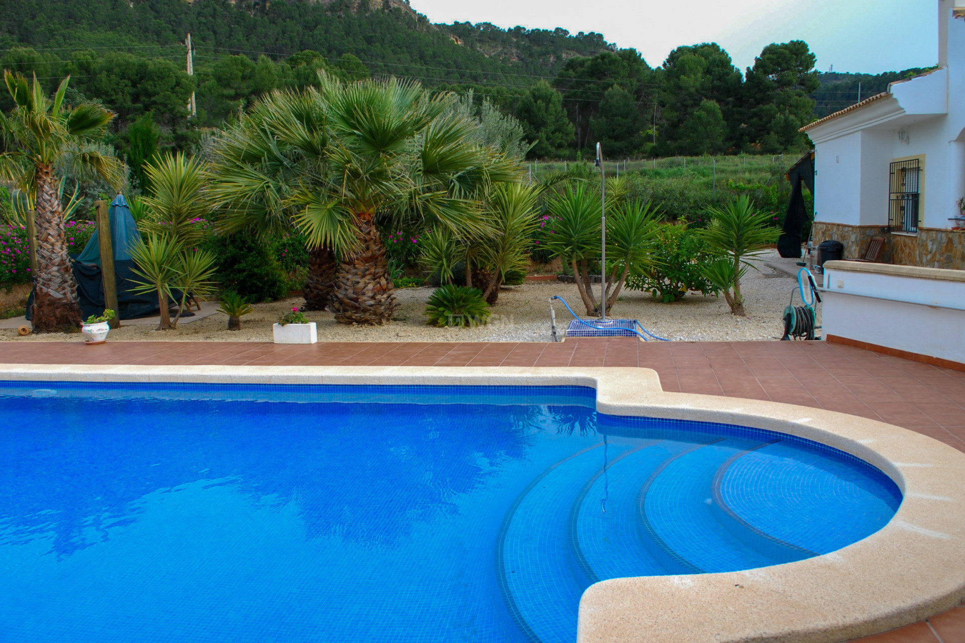 Wiederverkauf - Villa - Pliego - Inland