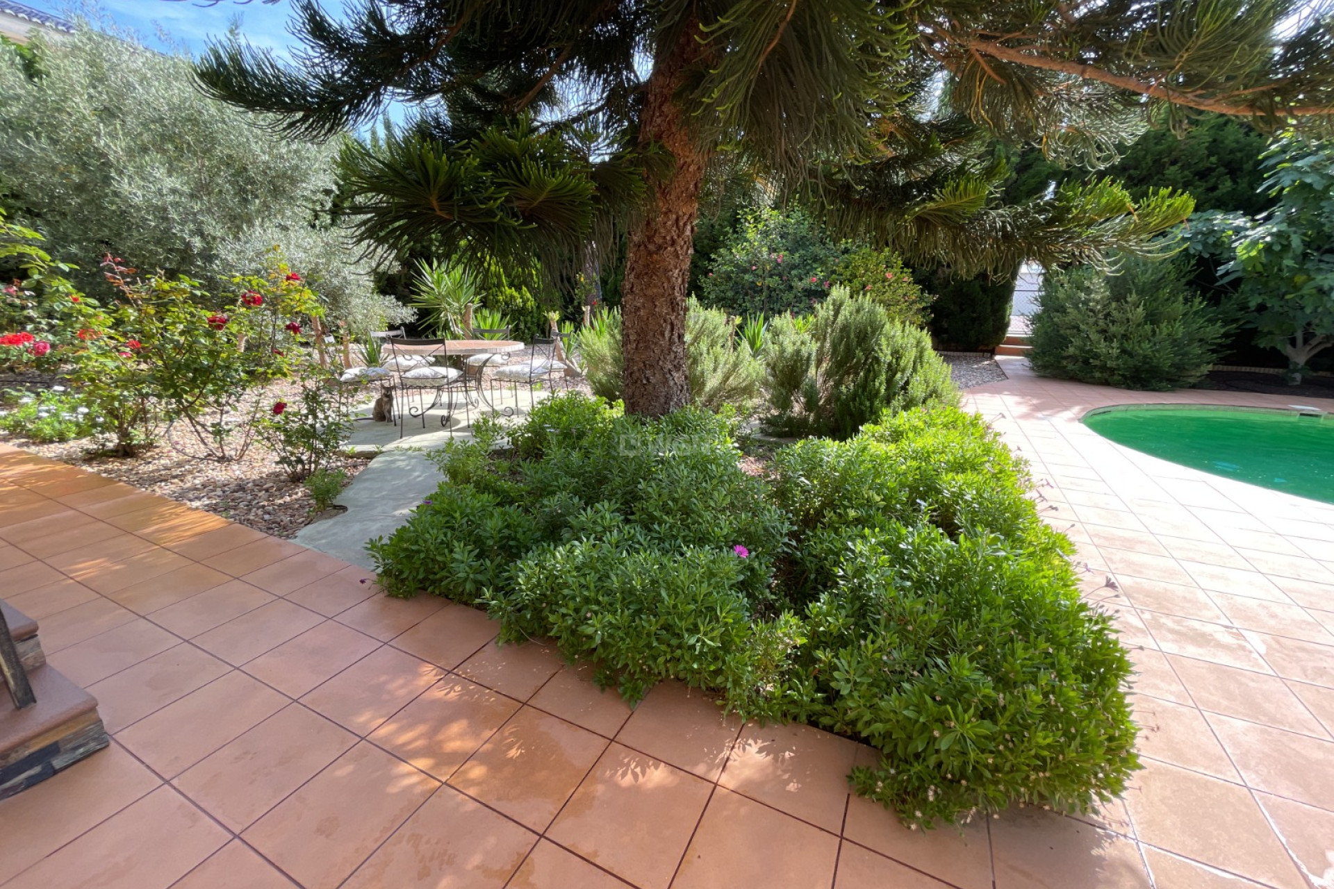 Wiederverkauf - Villa - Rojales - Inland