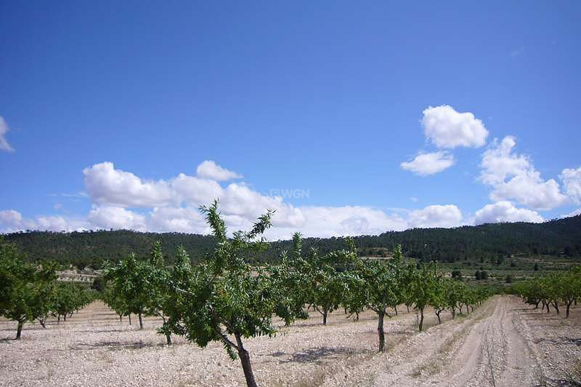 Wiederverkauf - Villa - Salinas - Inland