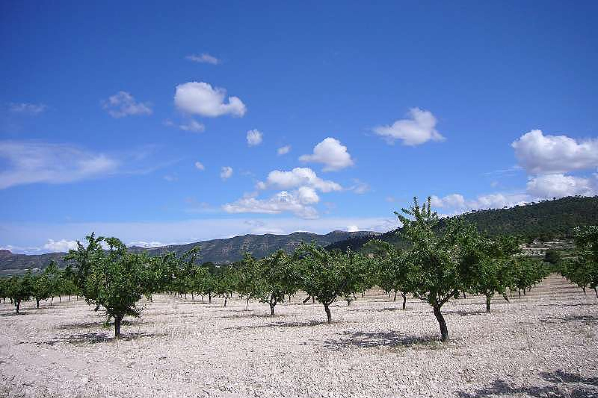 Wiederverkauf - Villa - Salinas - Inland