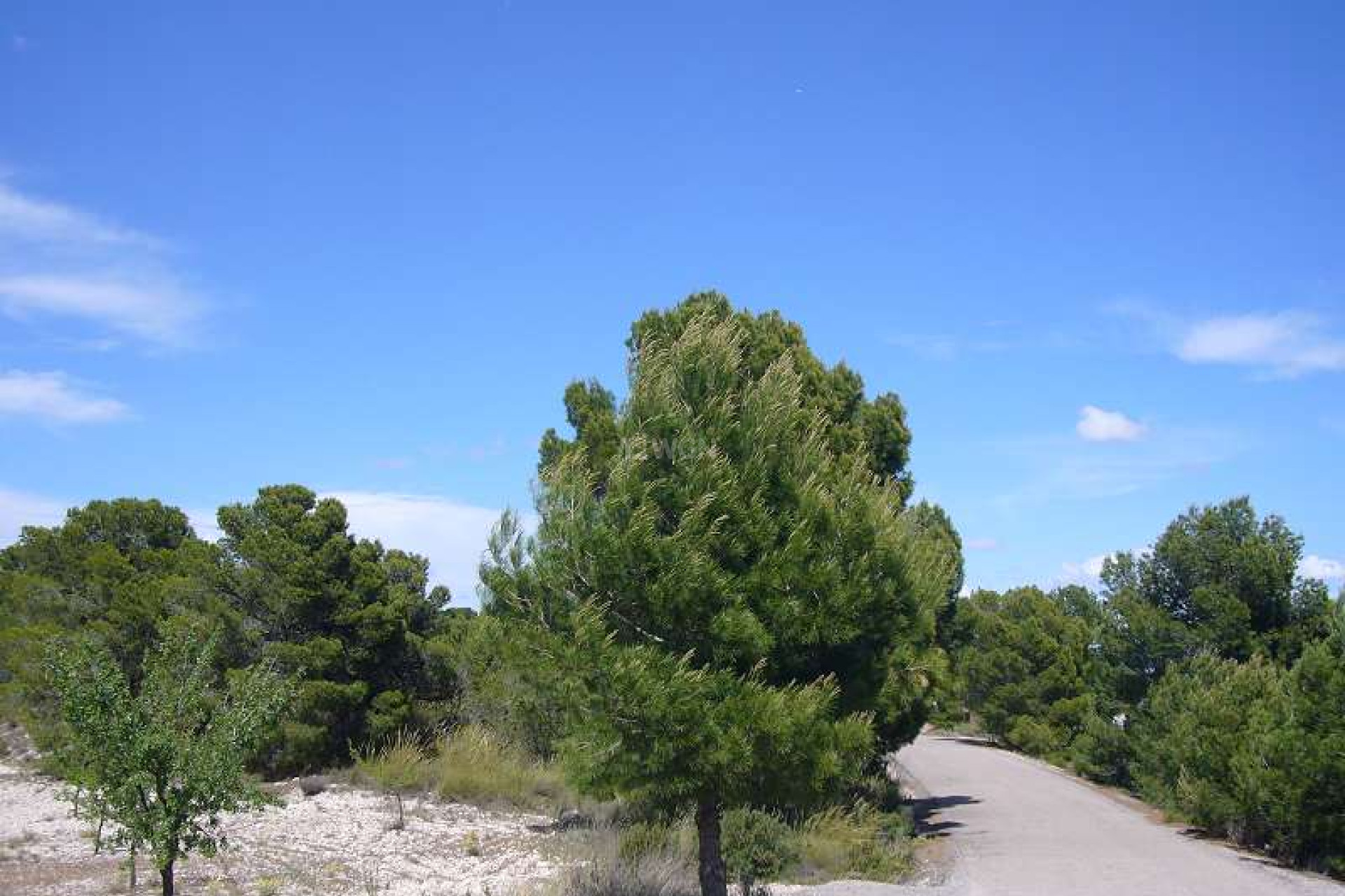 Wiederverkauf - Villa - Salinas - Inland