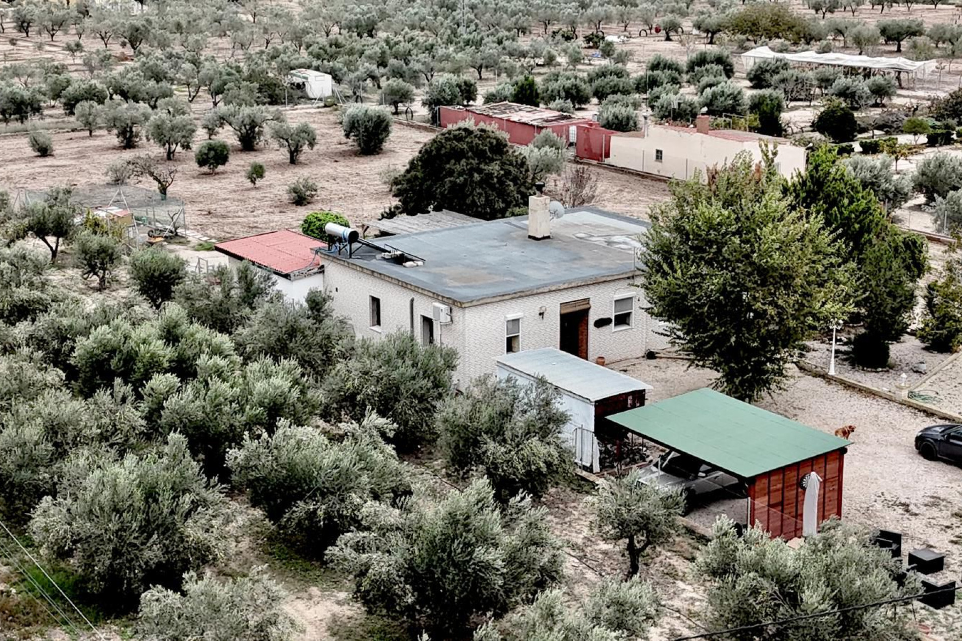 Wiederverkauf - Villa - Salinas - Inland