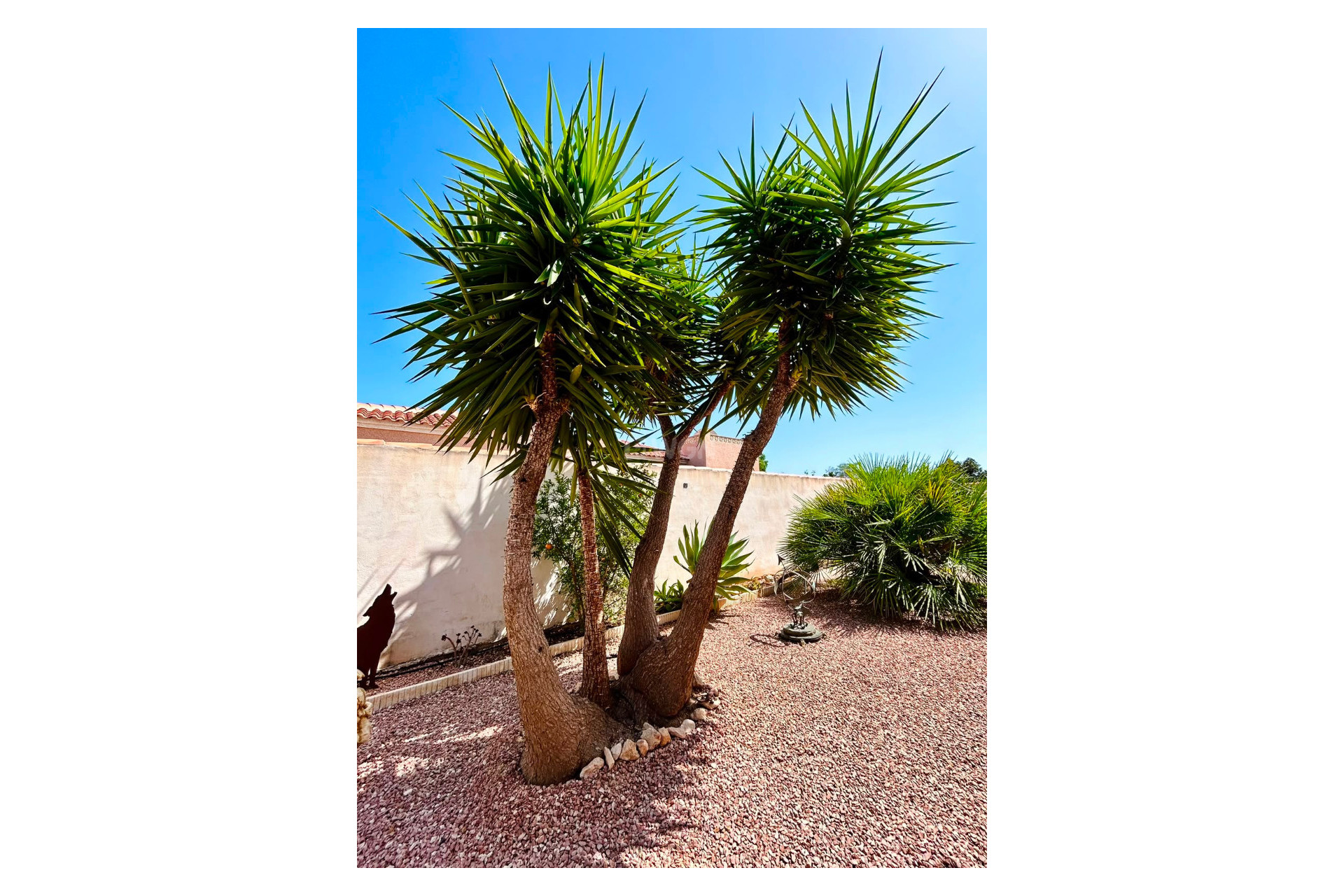 Wiederverkauf - Villa - Torrevieja - Costa Blanca