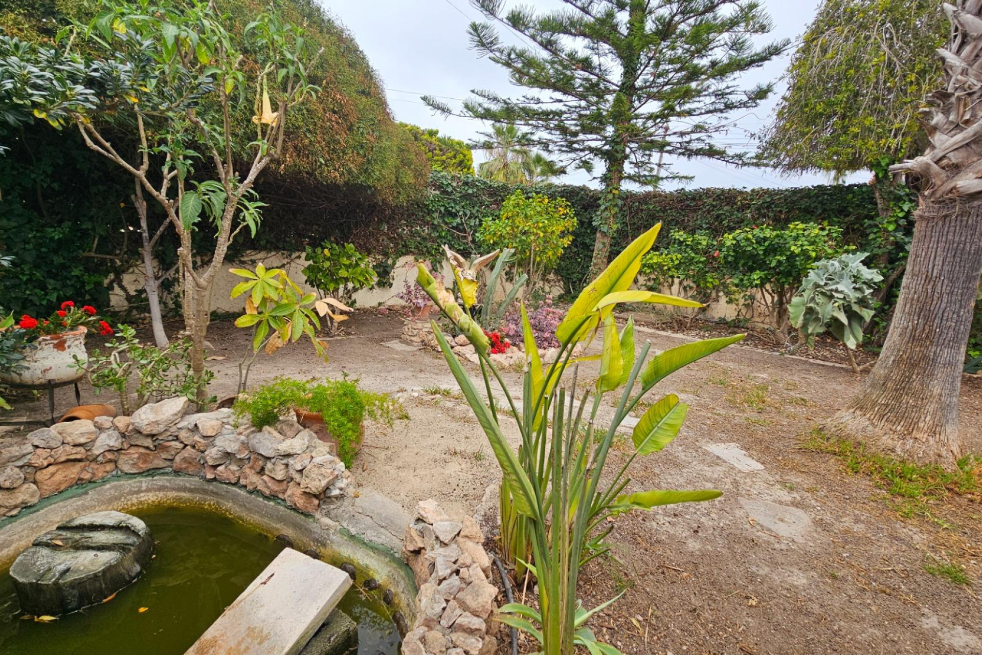 Wiederverkauf - Villa - Torrevieja - El Chaparral