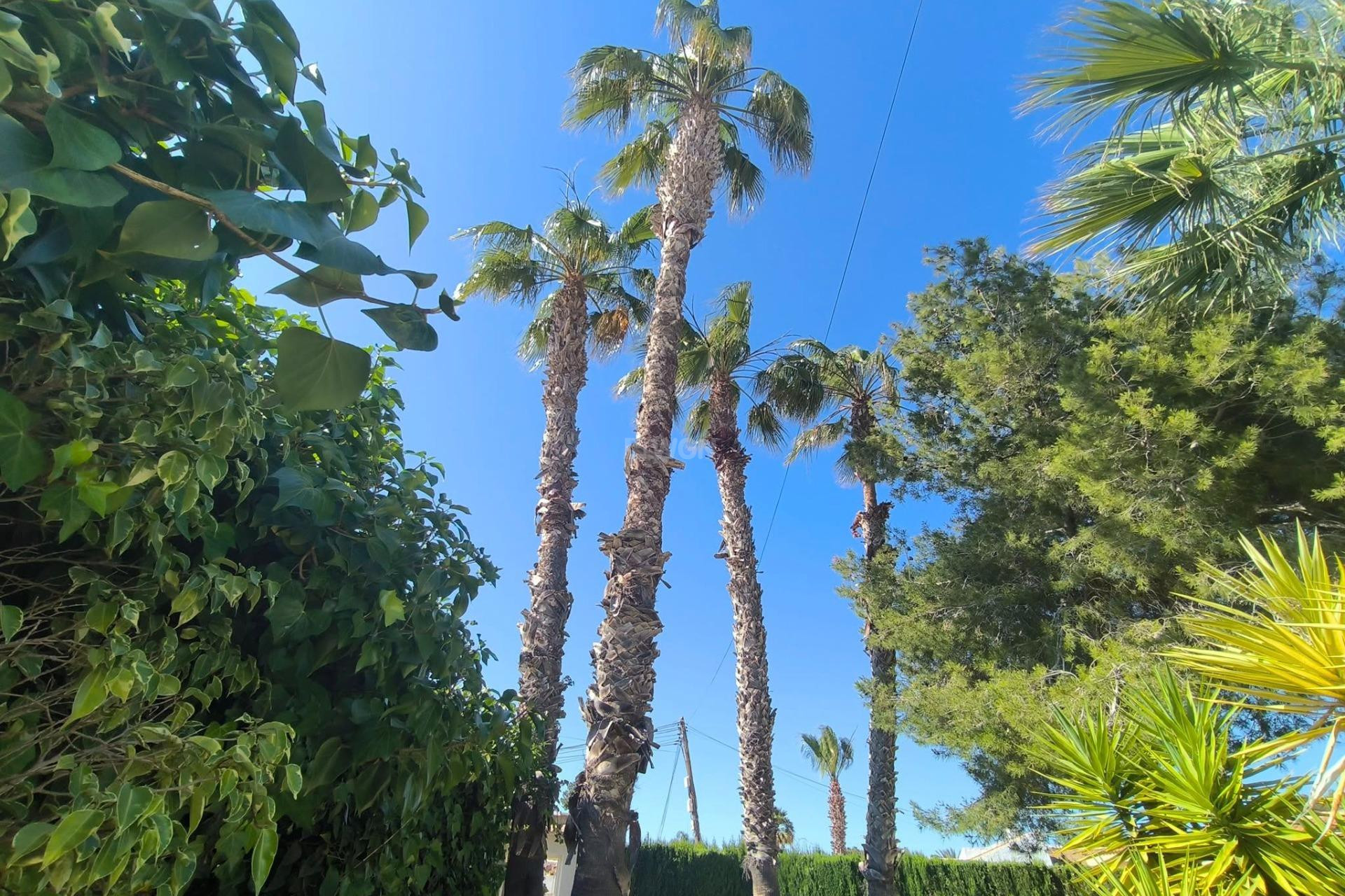 Wiederverkauf - Villa - Torrevieja - La Siesta