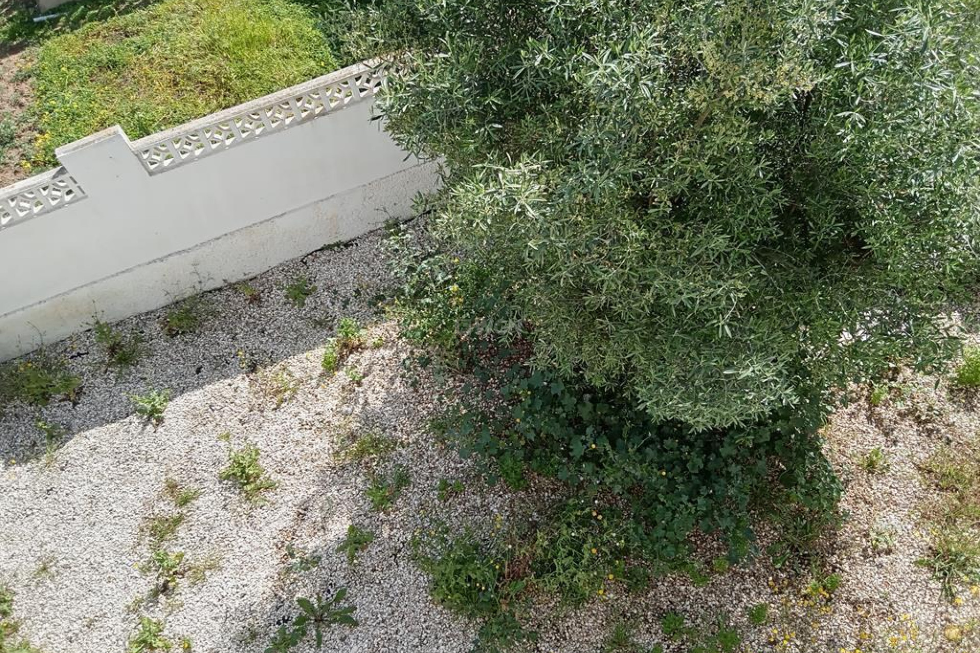 Wiederverkauf - Villa - Torrevieja - Los Balcones