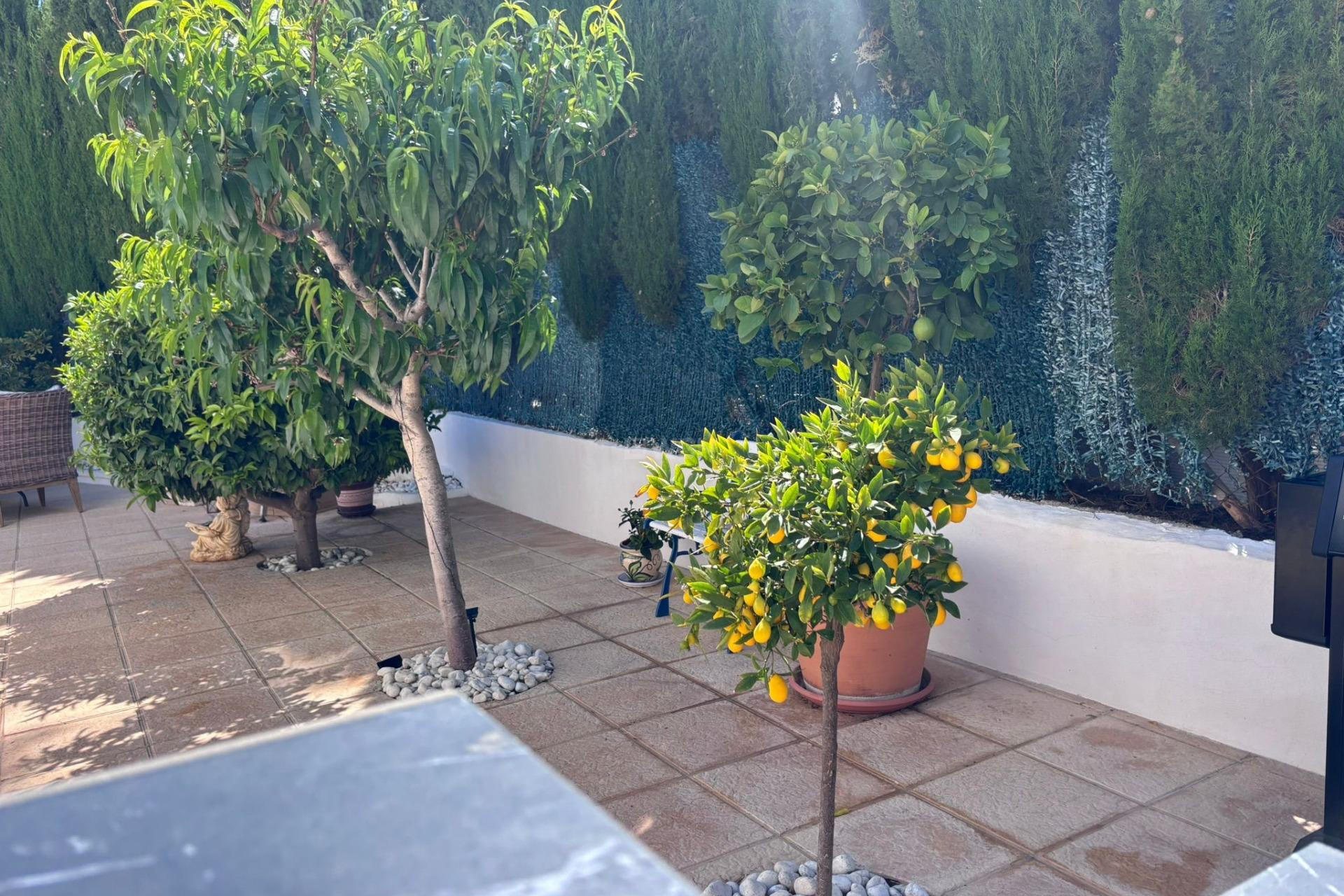Wiederverkauf - Villa - Torrevieja - Los Balcones